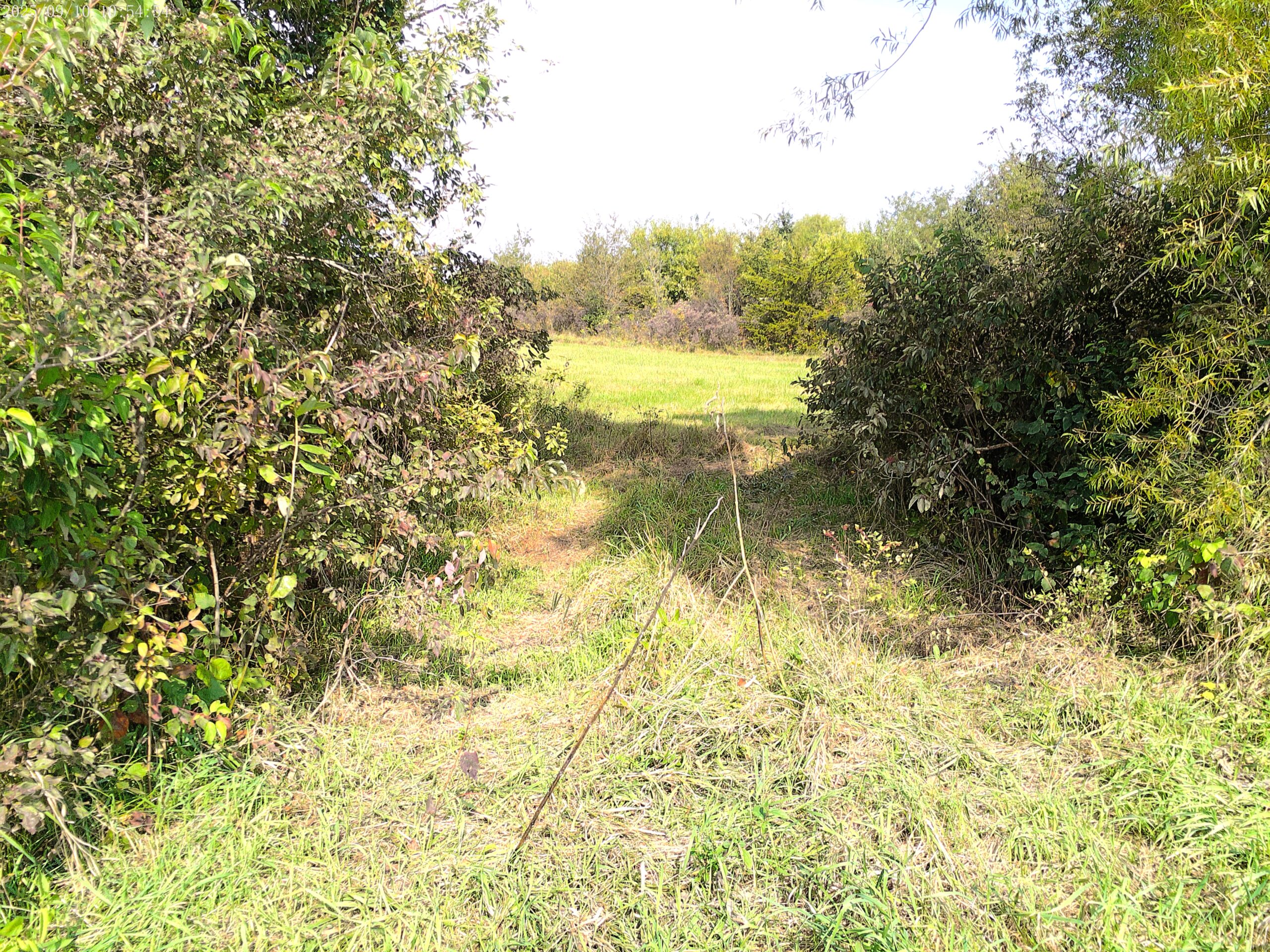78 Acres of Farm, Hunting and Recreational Land