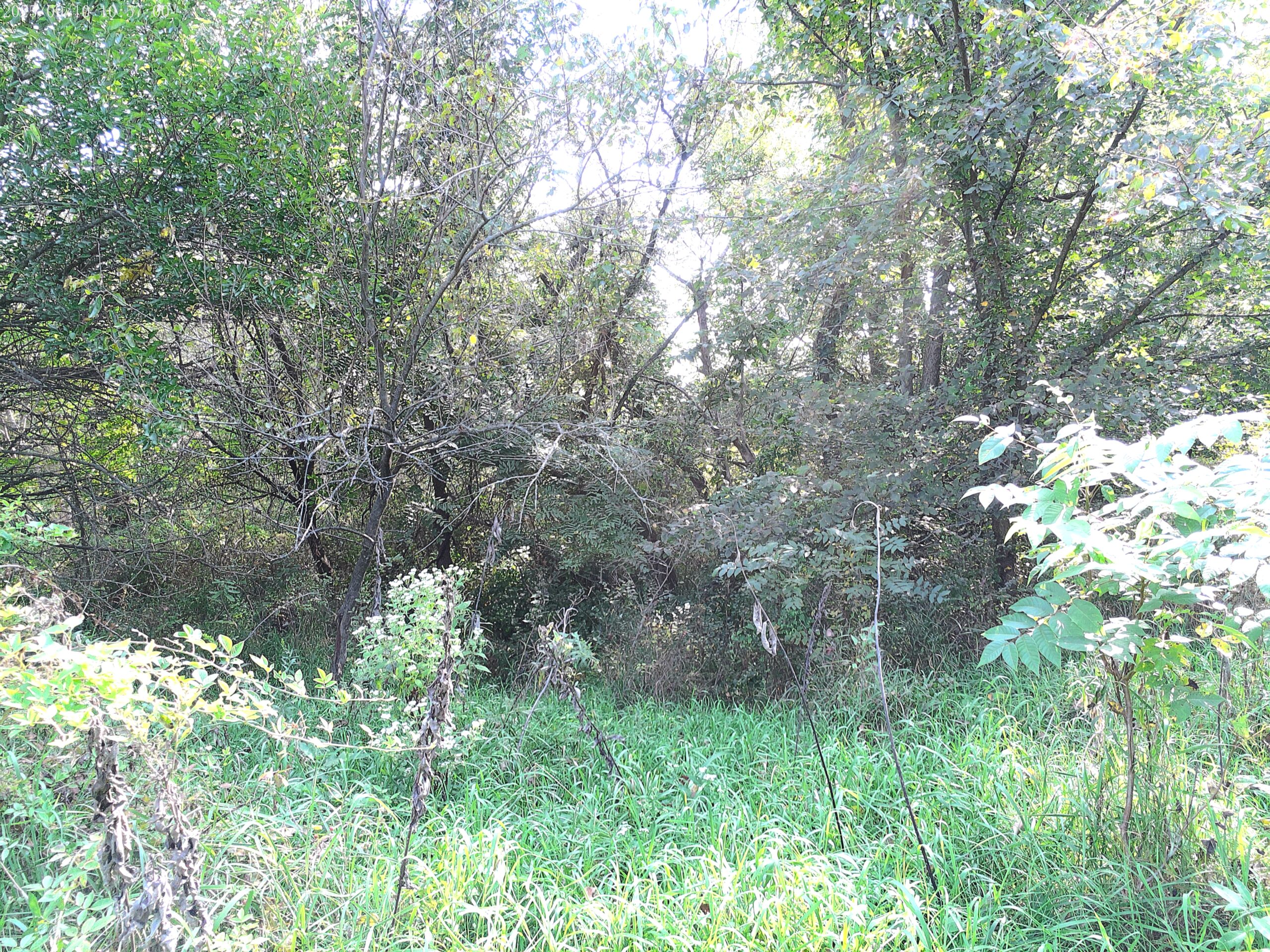 78 Acres of Farm, Hunting and Recreational Land