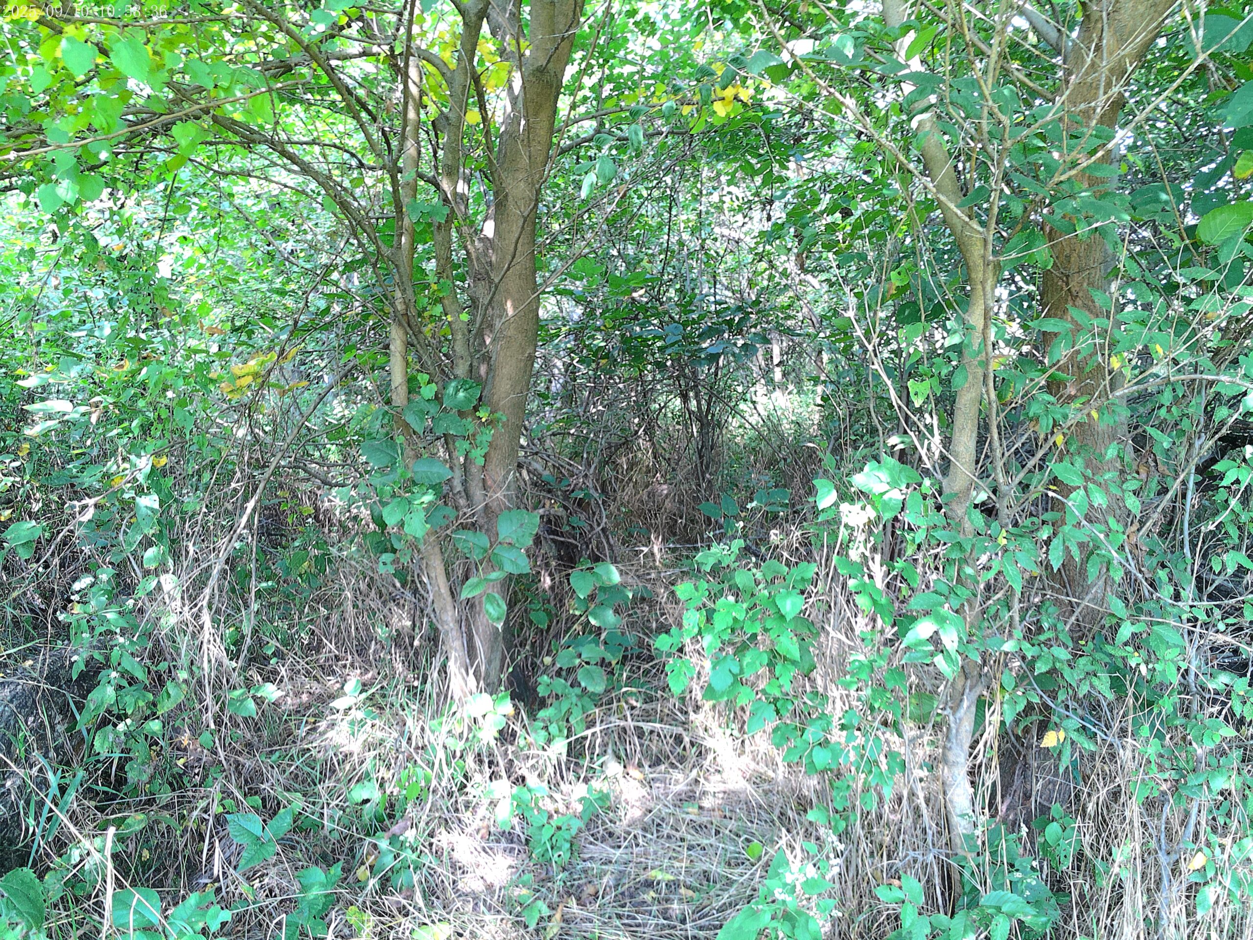 78 Acres of Farm, Hunting and Recreational Land