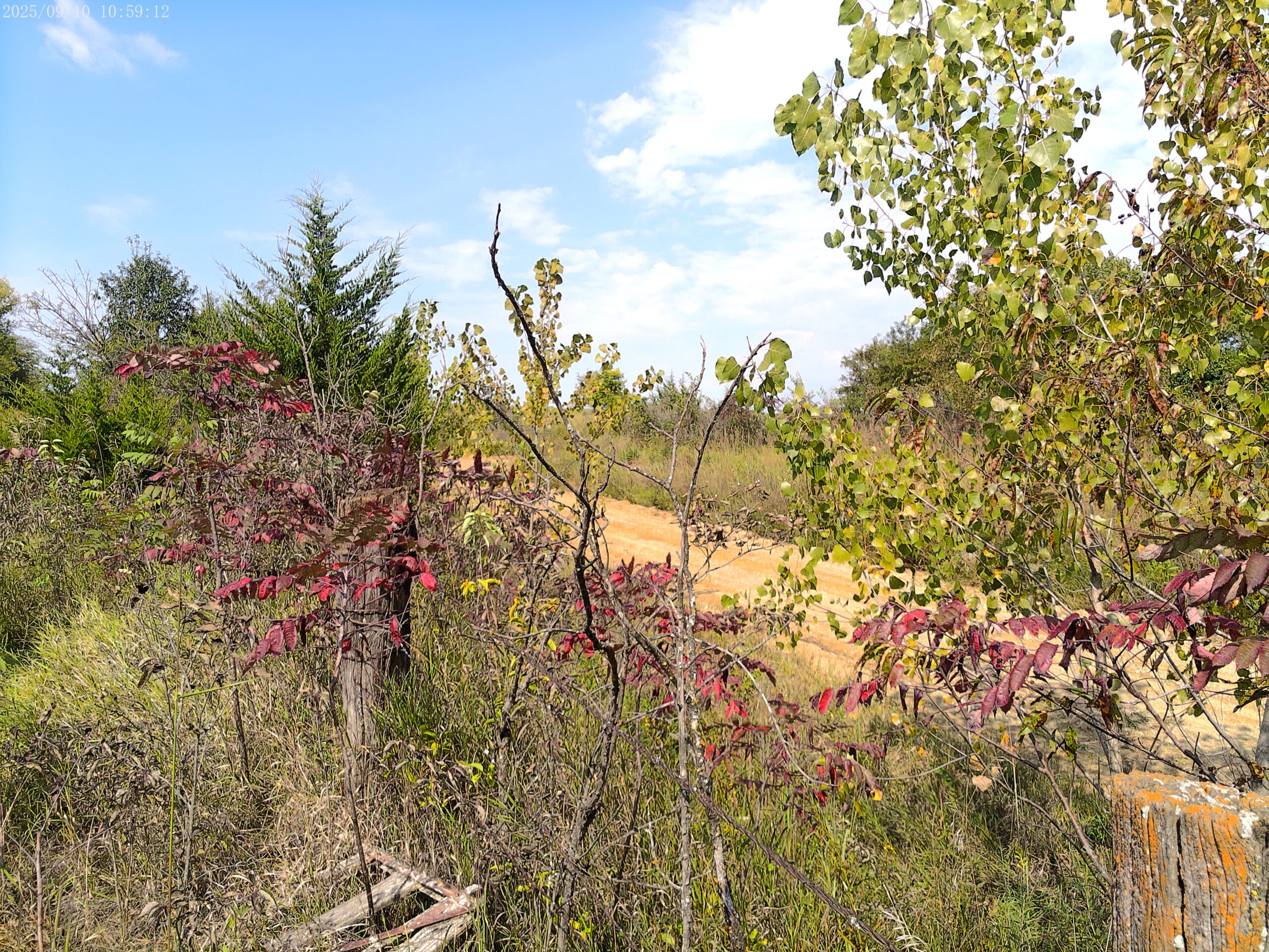 78 Acres of Farm, Hunting and Recreational Land
