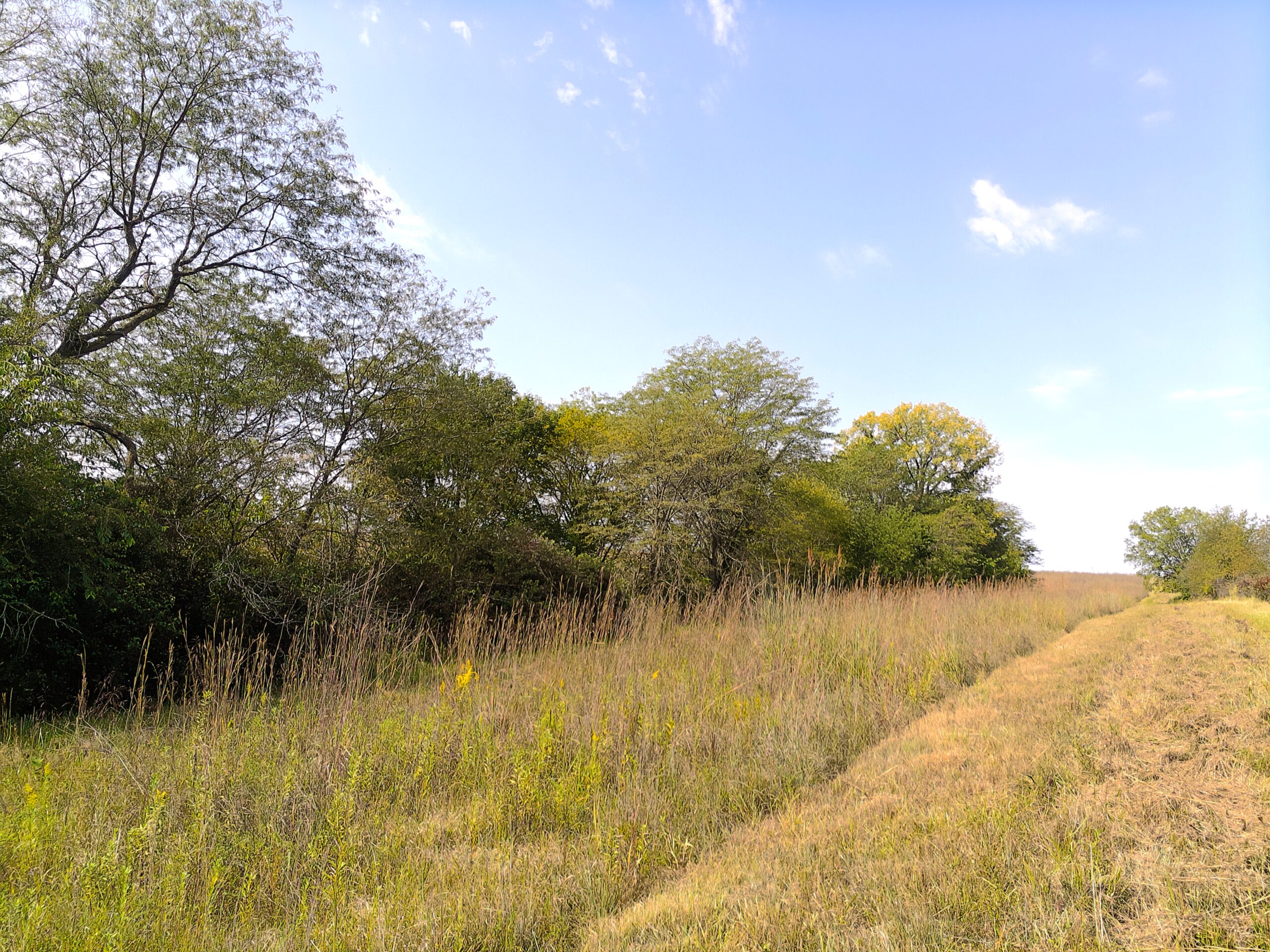 78 Acres of Farm, Hunting and Recreational Land