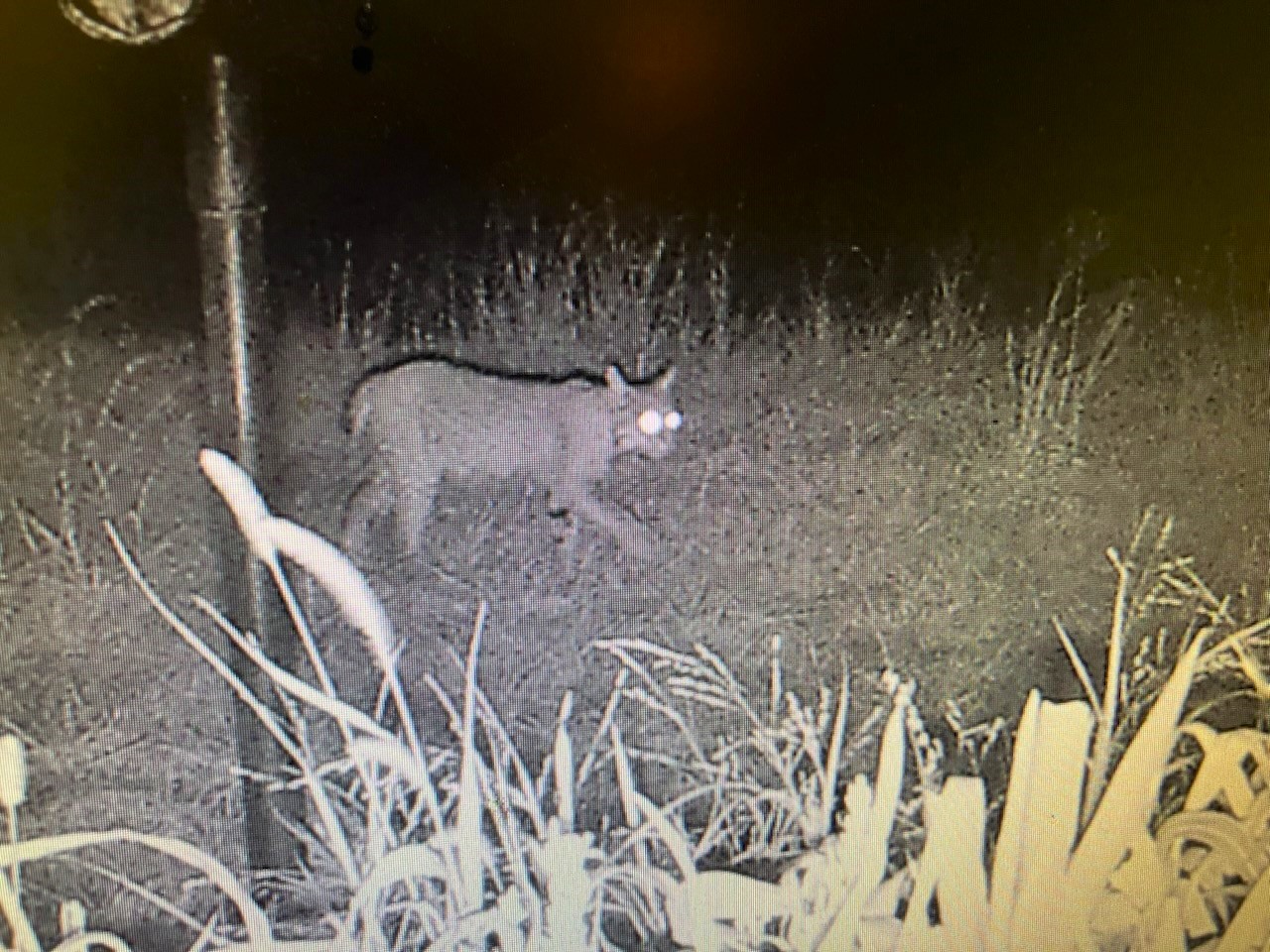 NEBRASKA MERIDIAN CANYON HUNTING & RANCH LAND