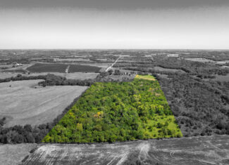 Caldwell County MO Online Only Land Auction