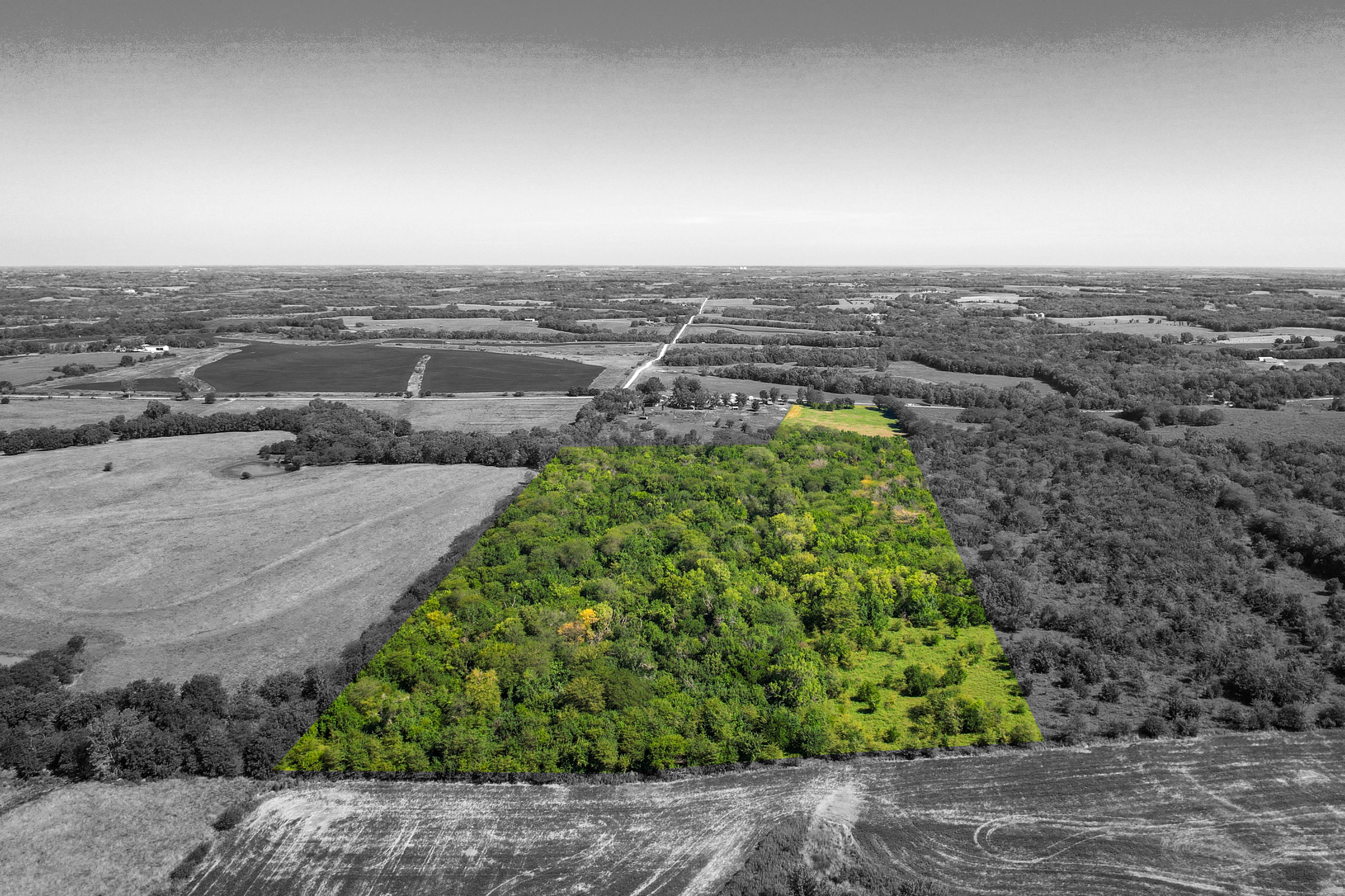 Caldwell County MO Online Only Land Auction