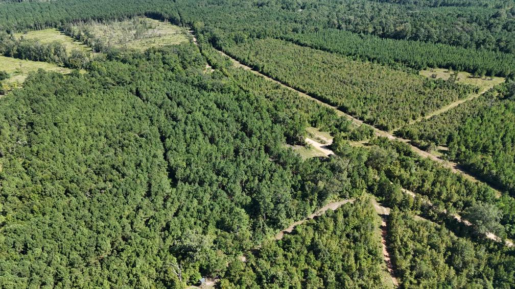 Hunting & Timberland For Sale in Union Parish-Traylor Place