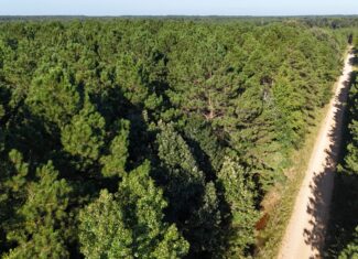 Small Hunting Tract for Sale in Marion, LA – Mclemore Tract