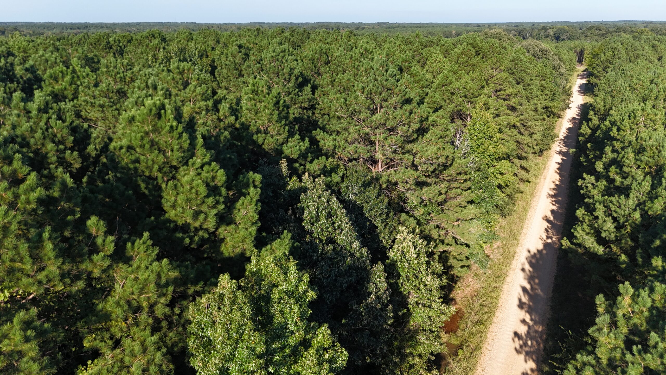 Small Hunting Tract for Sale in Marion, LA – Mclemore Tract
