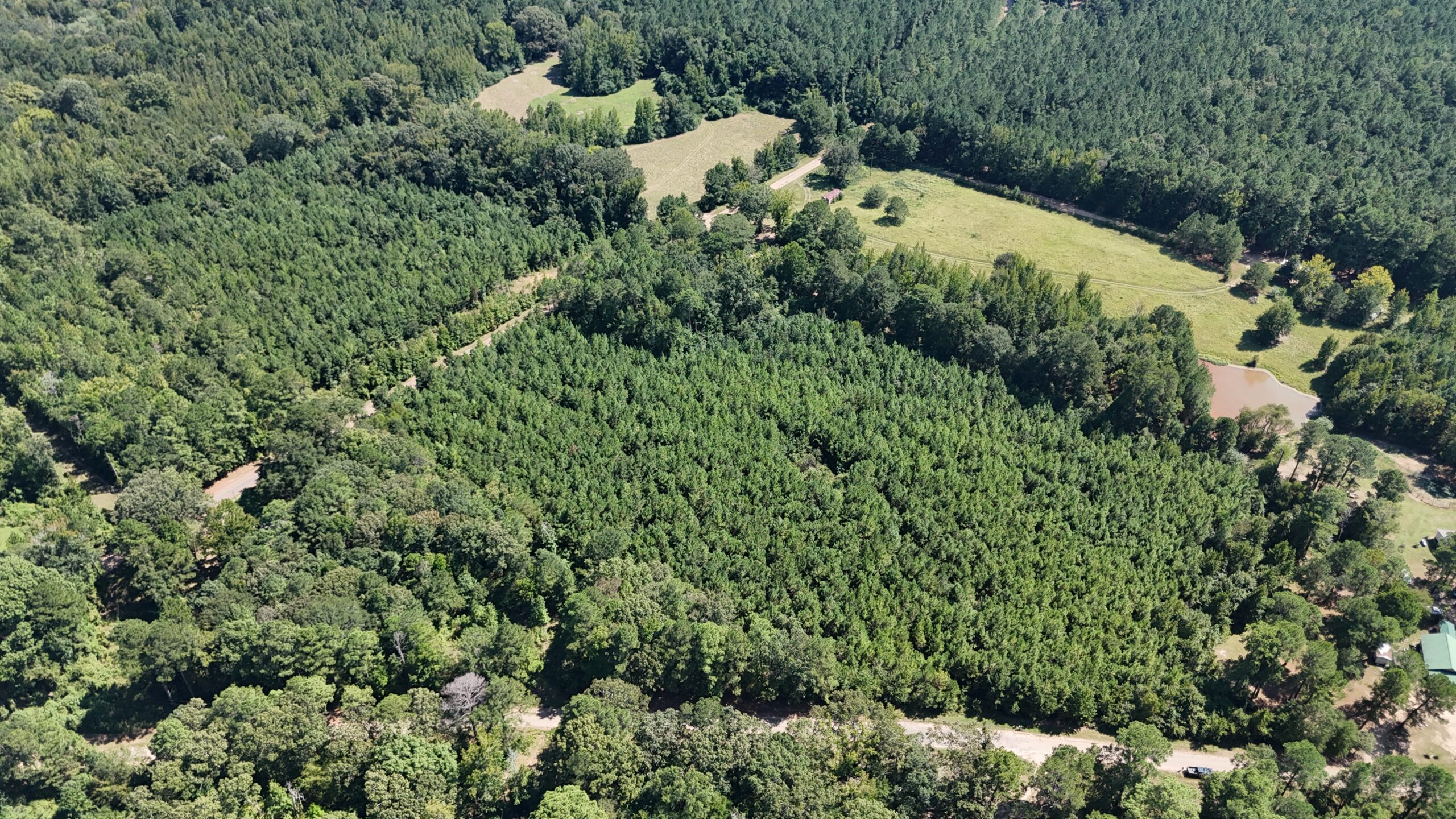 16 Acres Timberland for Sale in Union Parish – McBroom Tract