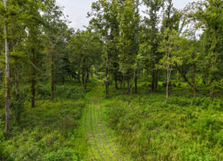 Lorman, MS Hunting Property near the Mississippi River