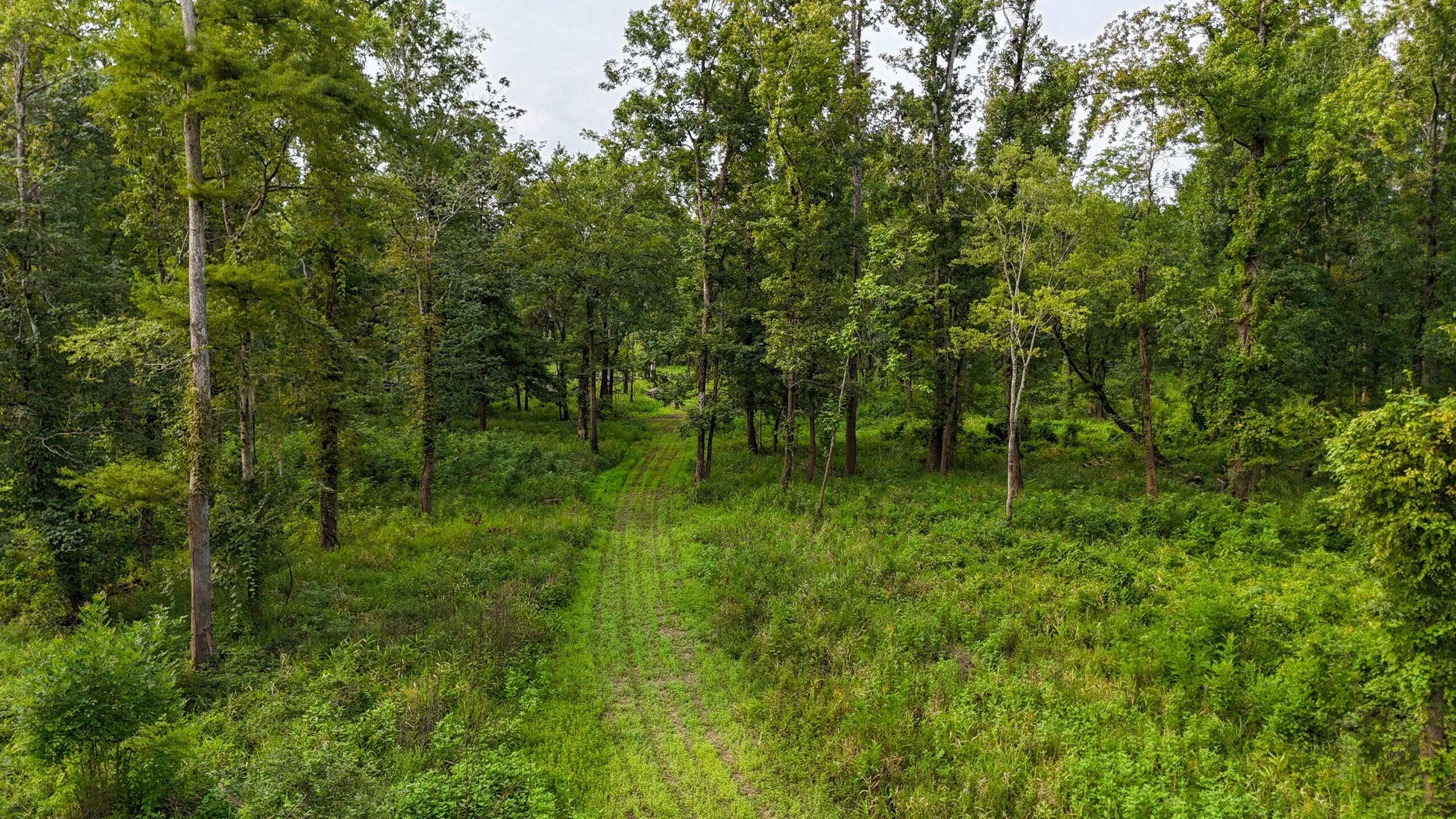 Lorman, MS Hunting Property near the Mississippi River