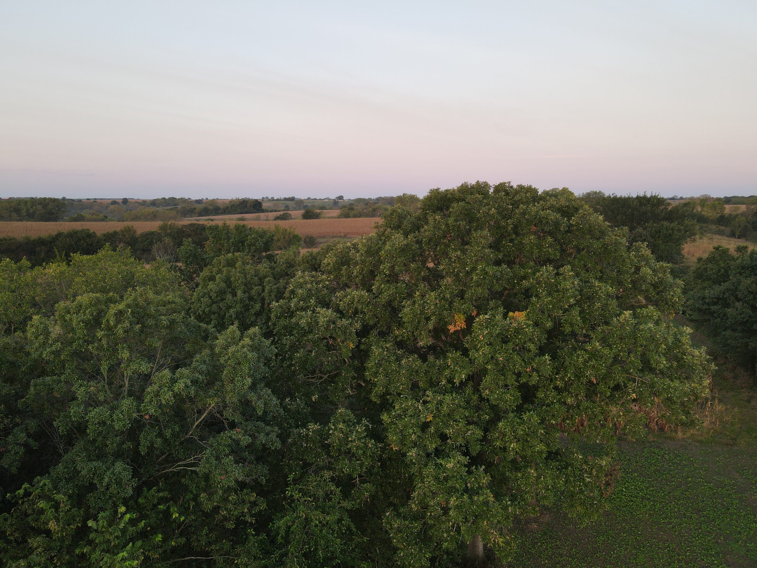 Dream Hunting Paradise in Decatur County, IA