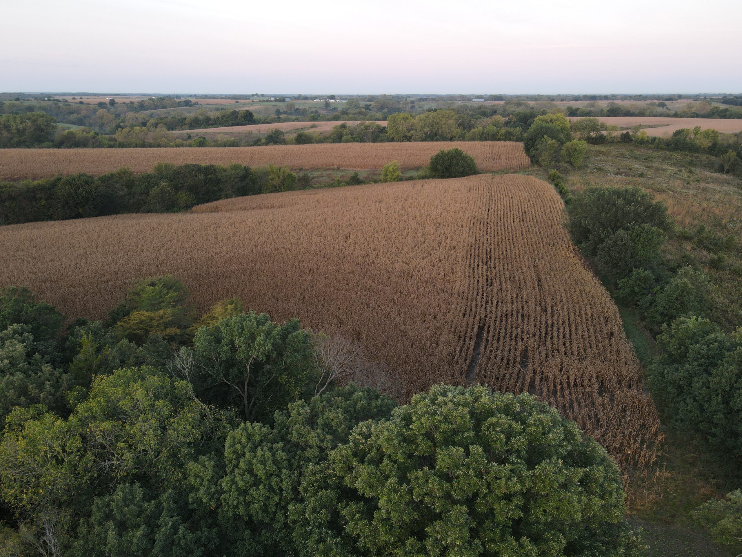 Dream Hunting Paradise in Decatur County, IA