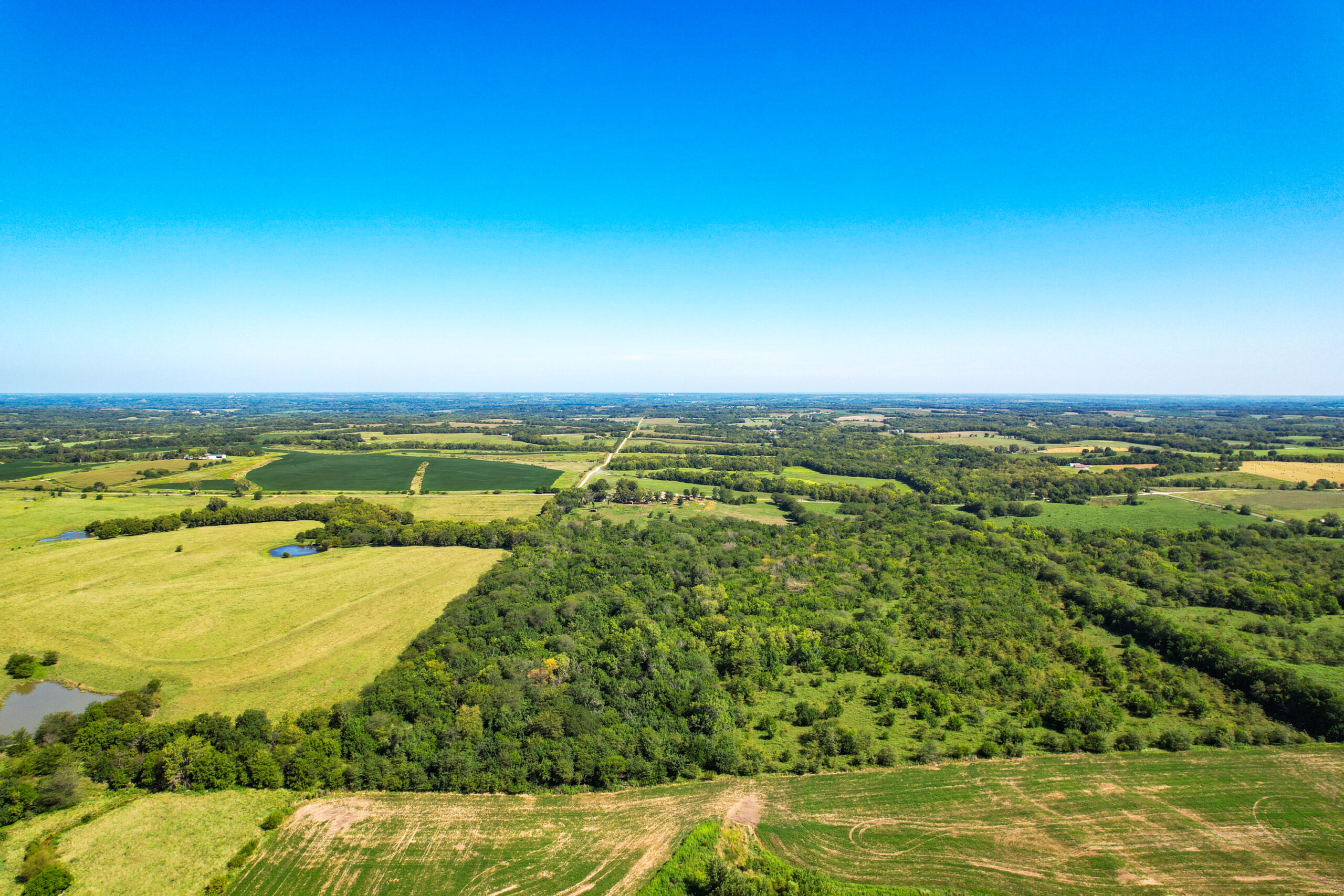 Caldwell County MO Online Only Land Auction