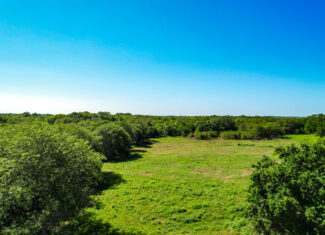 Caldwell County MO Online Only Land Auction