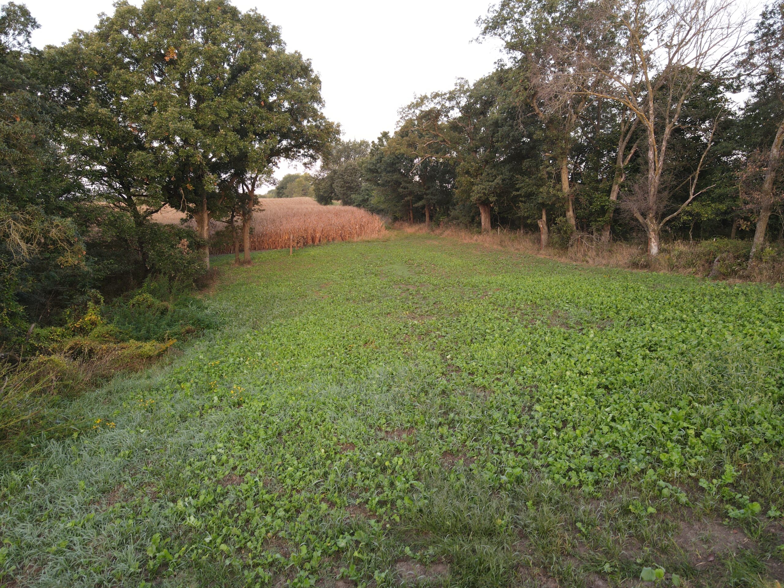 Dream Hunting Paradise in Decatur County, IA