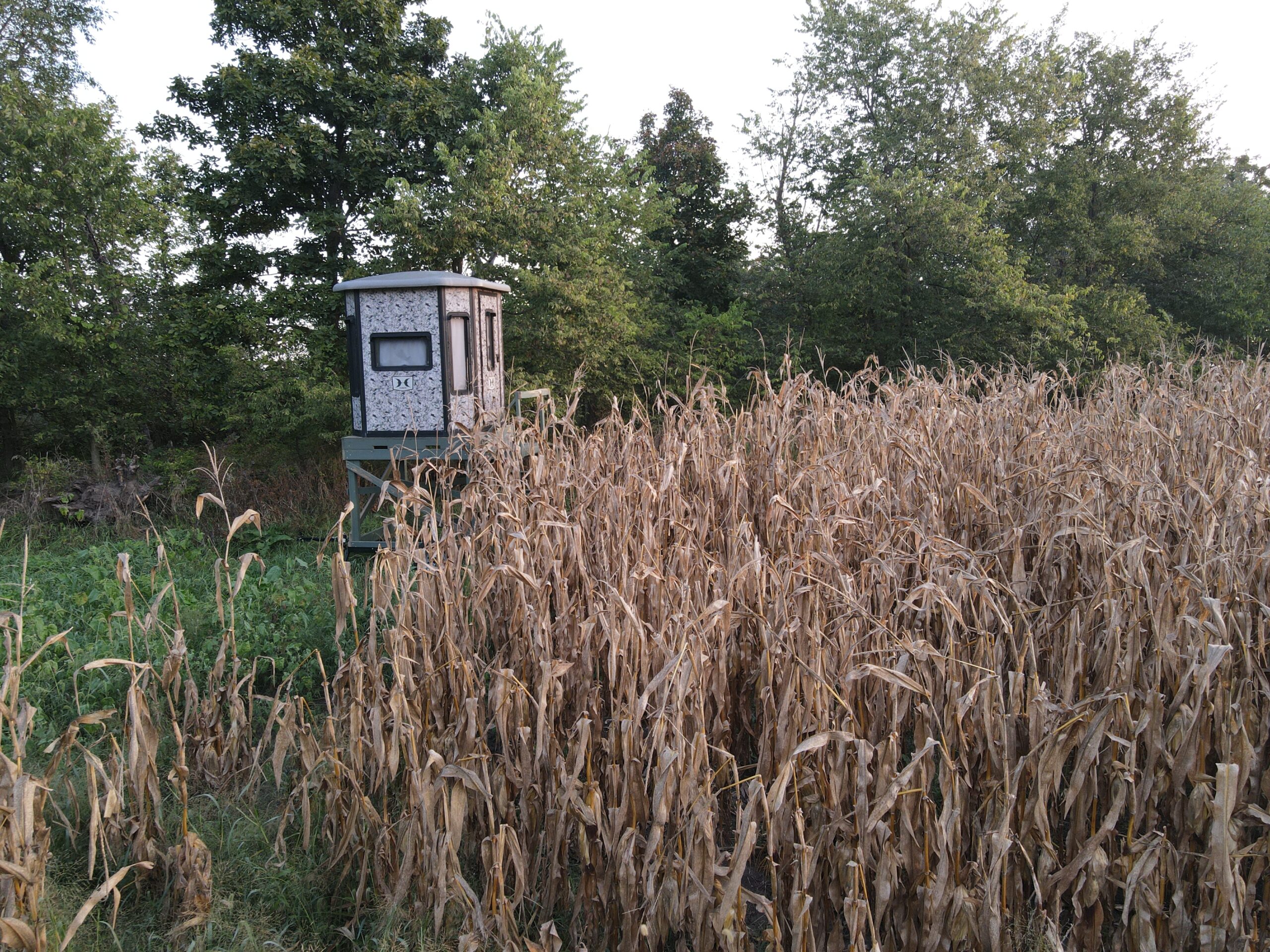 Dream Hunting Paradise in Decatur County, IA