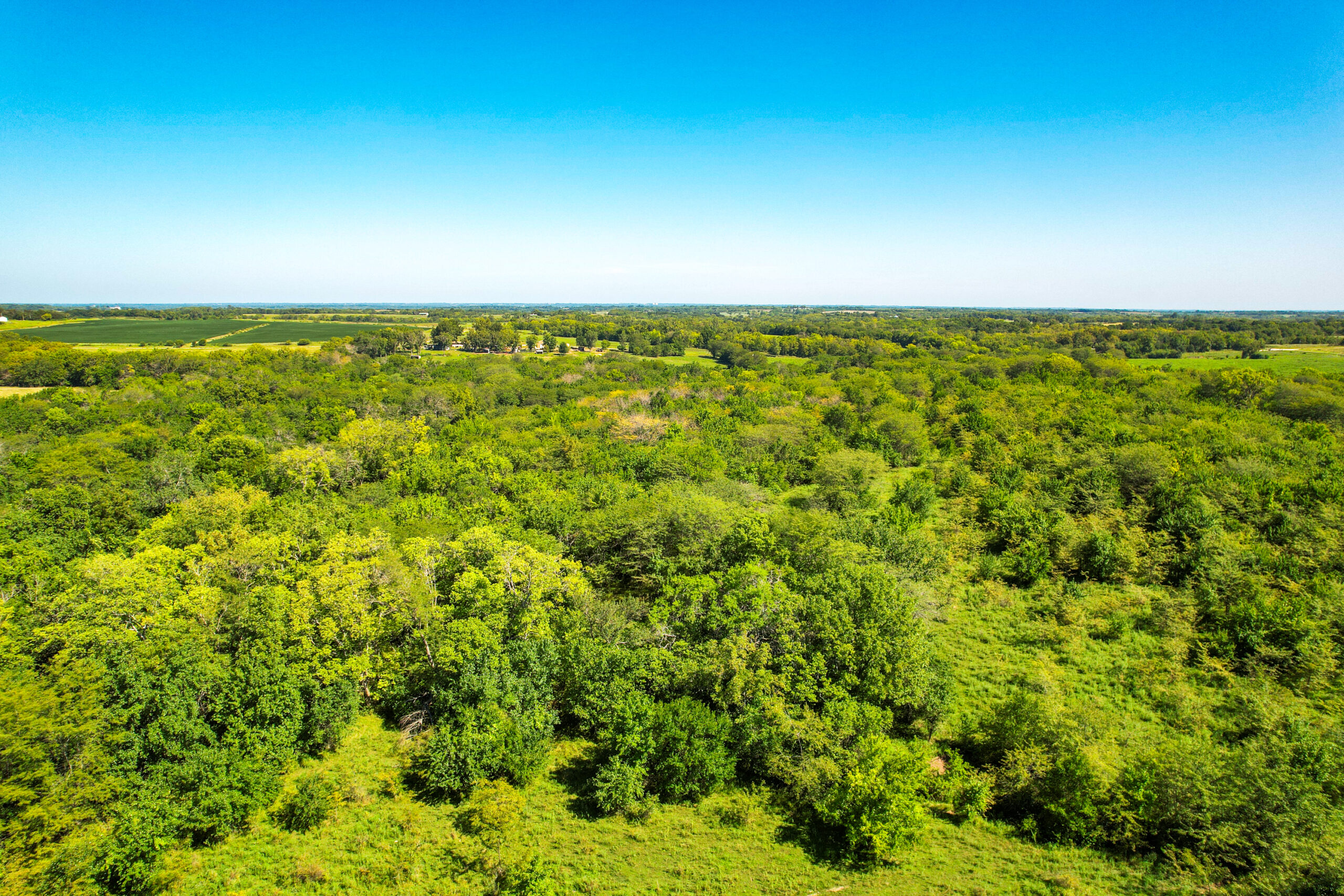 Caldwell County MO Online Only Land Auction