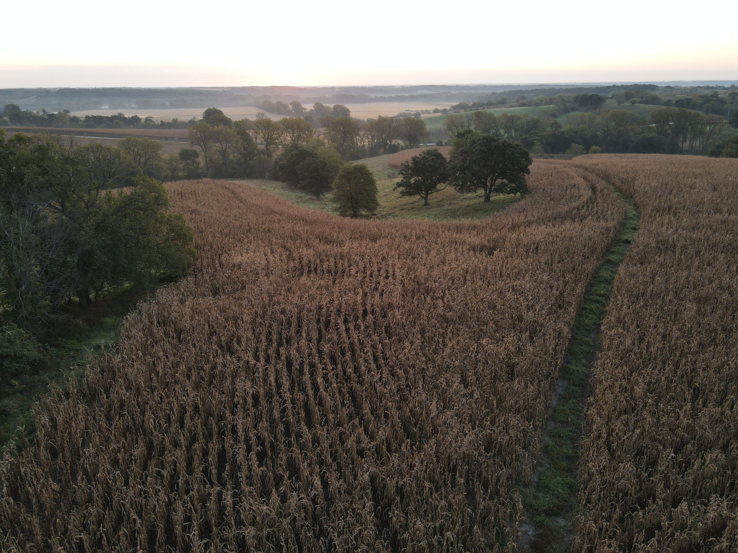 Dream Hunting Paradise in Decatur County, IA
