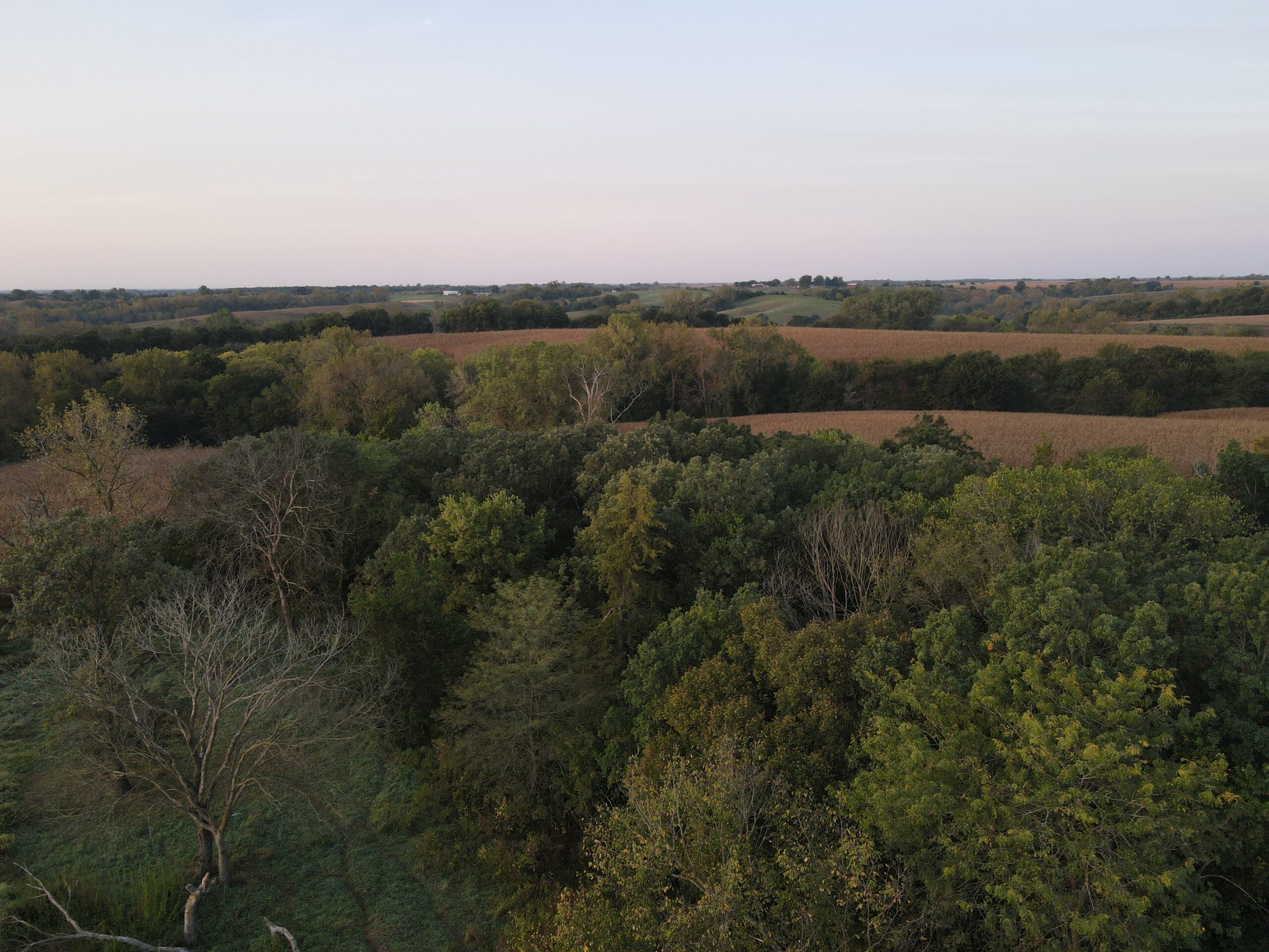 Dream Hunting Paradise in Decatur County, IA