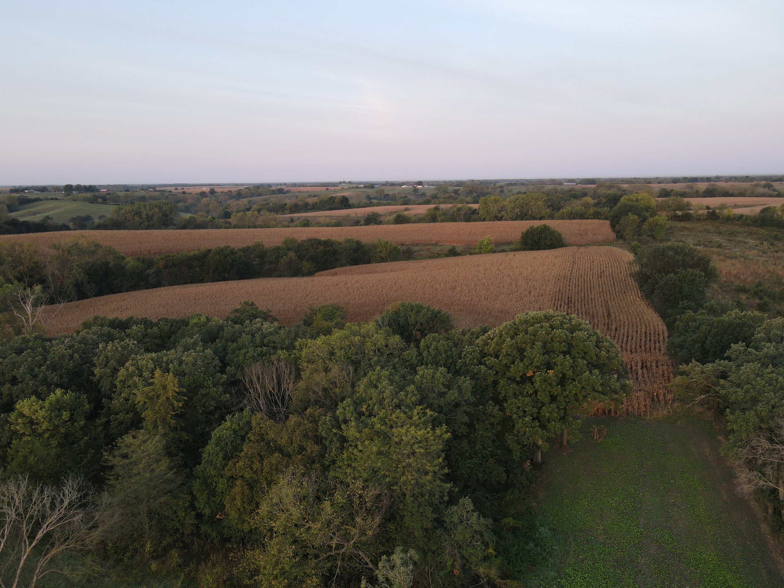 Dream Hunting Paradise in Decatur County, IA