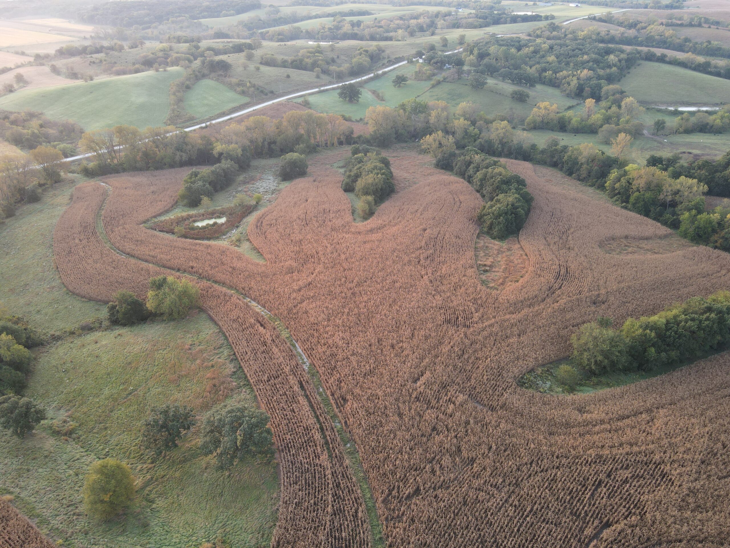 Dream Hunting Paradise in Decatur County, IA