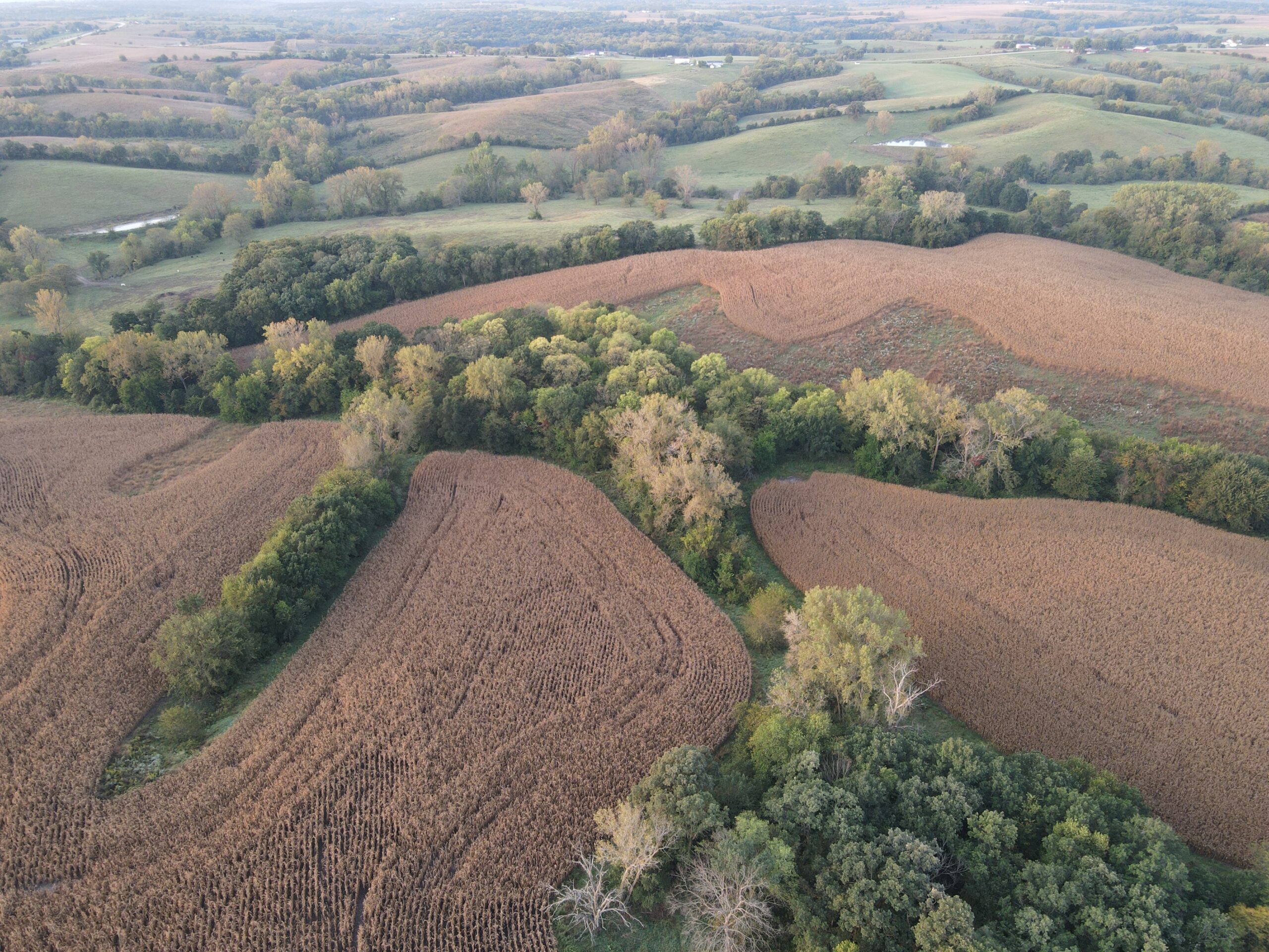 Dream Hunting Paradise in Decatur County, IA