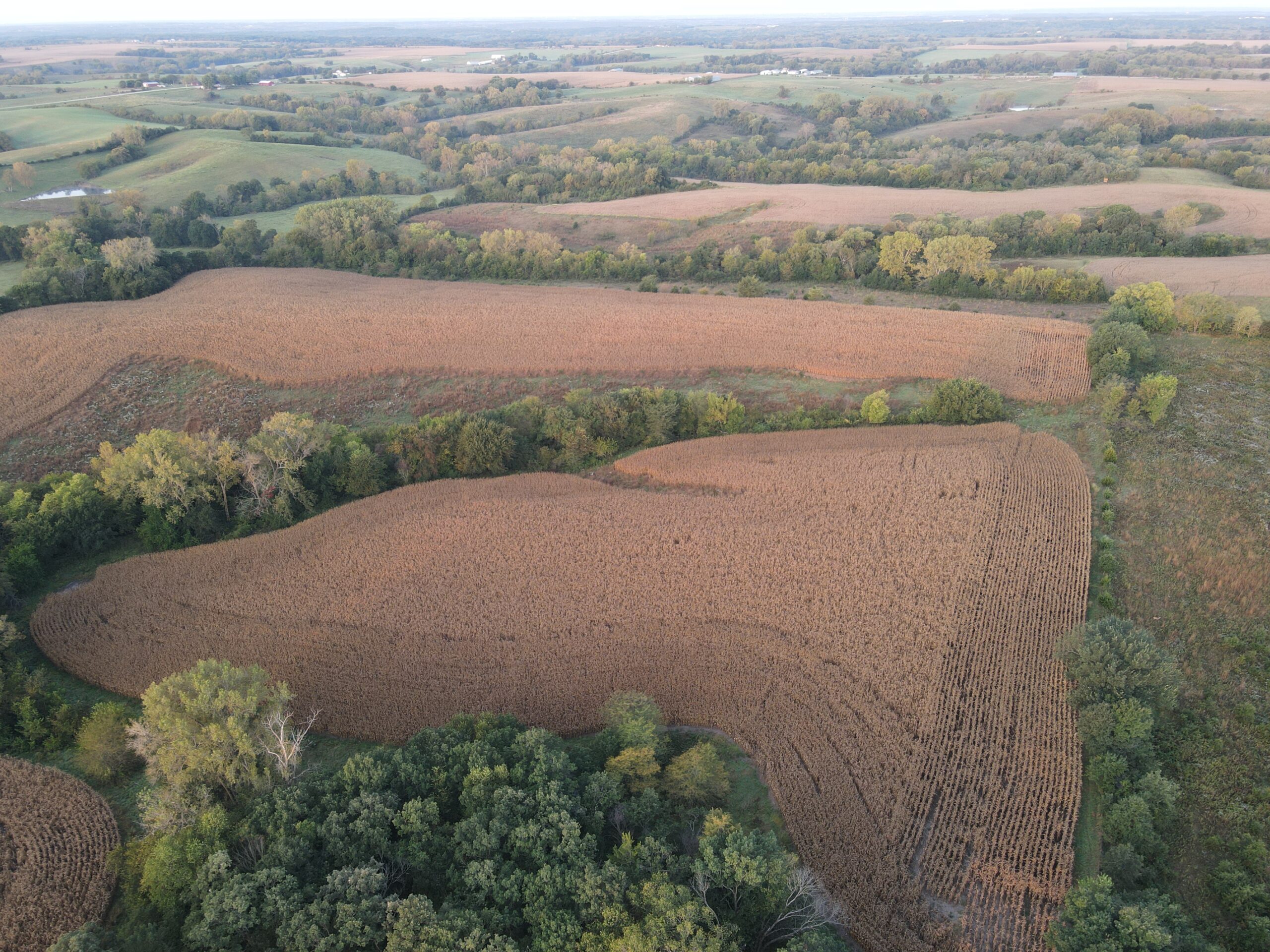 Dream Hunting Paradise in Decatur County, IA