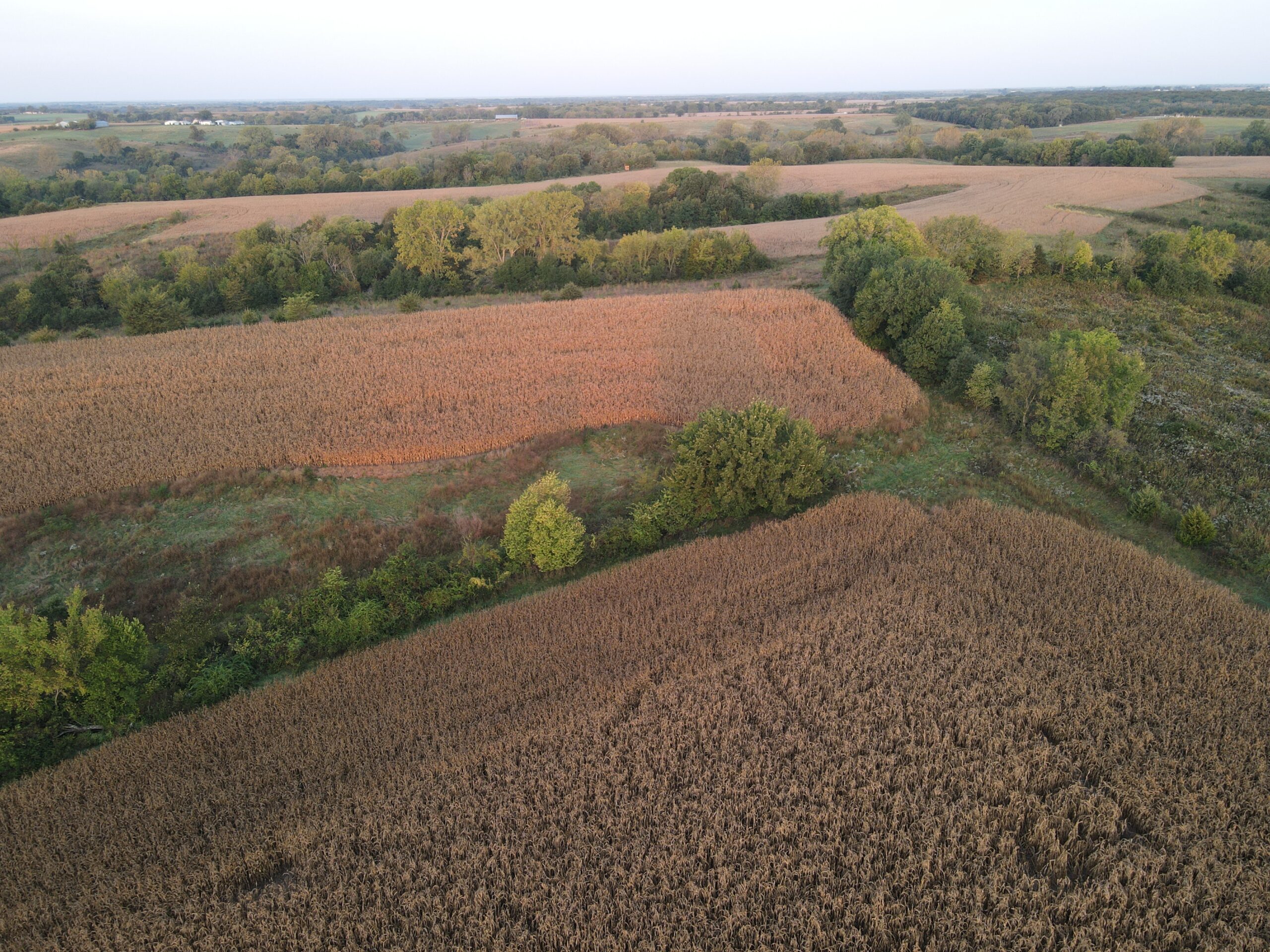 Dream Hunting Paradise in Decatur County, IA