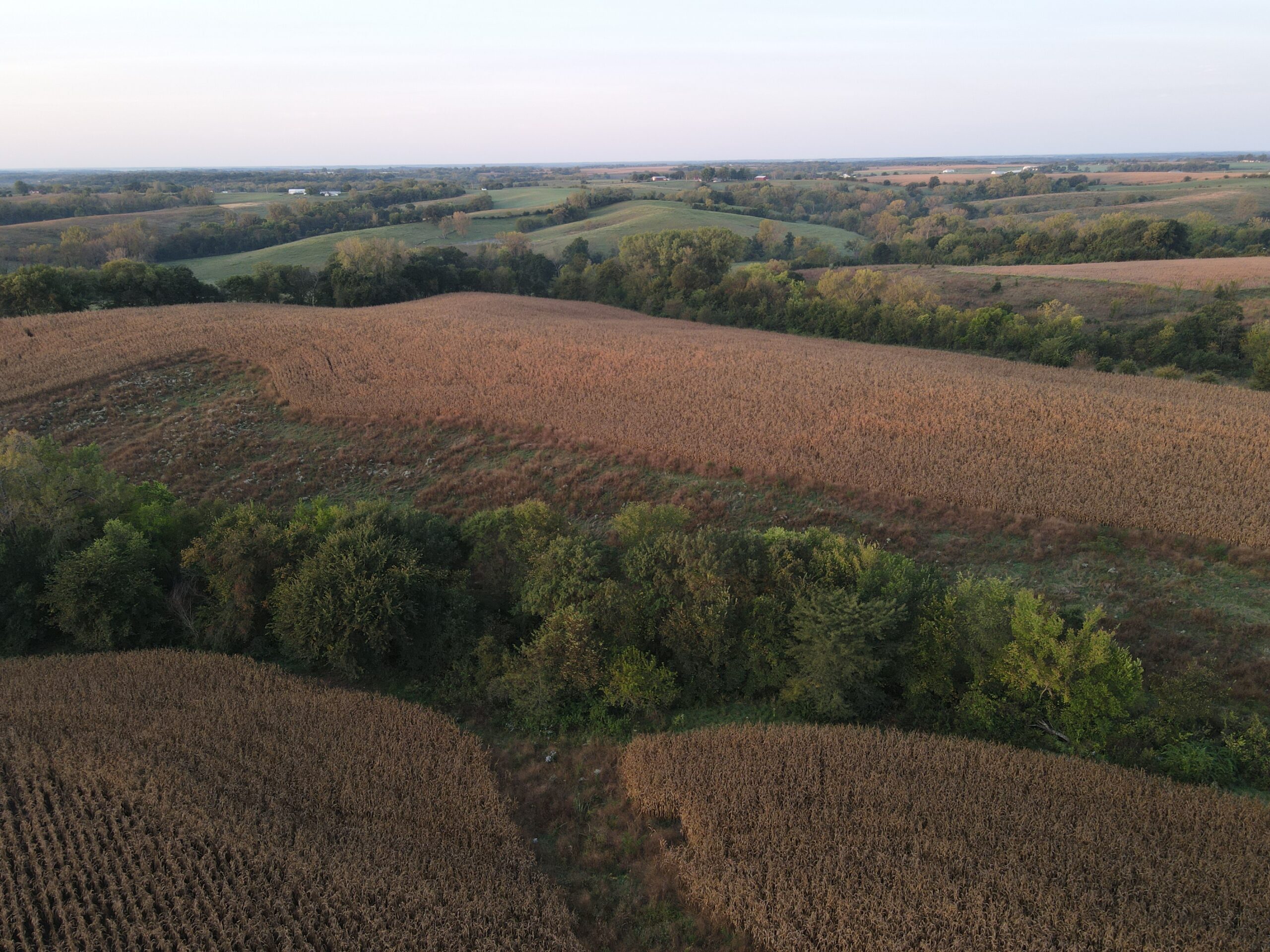 Dream Hunting Paradise in Decatur County, IA