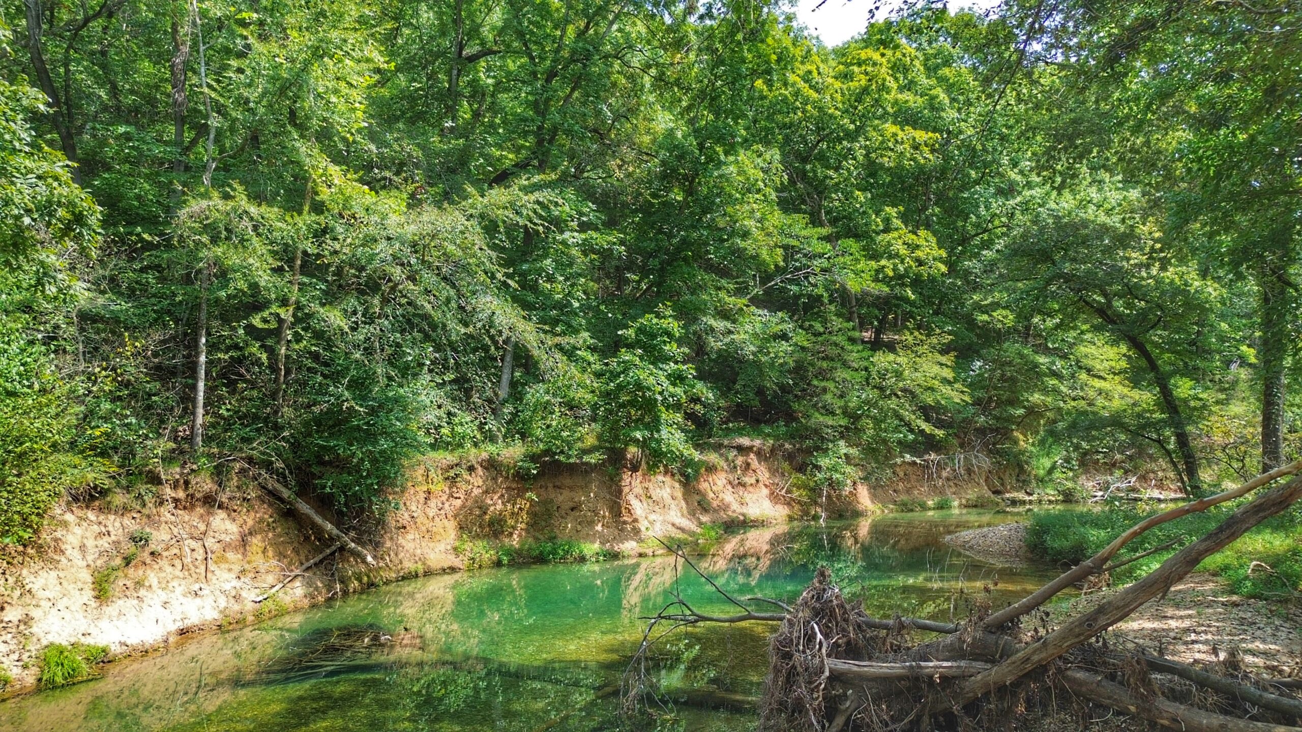 Legacy Northwest Arkansas Acreage For Sale