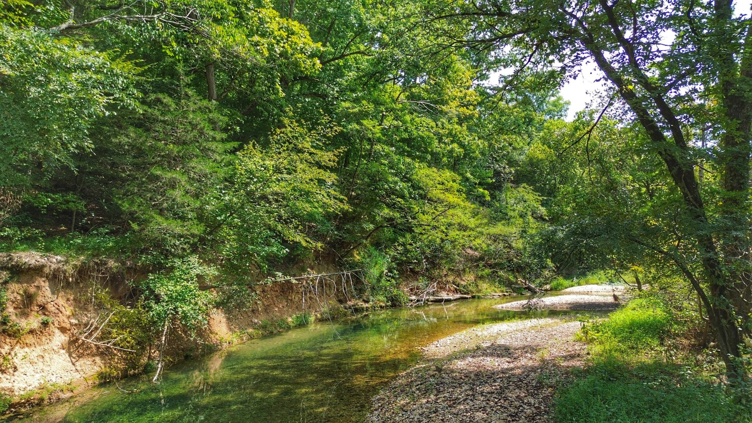 Legacy Northwest Arkansas Acreage For Sale