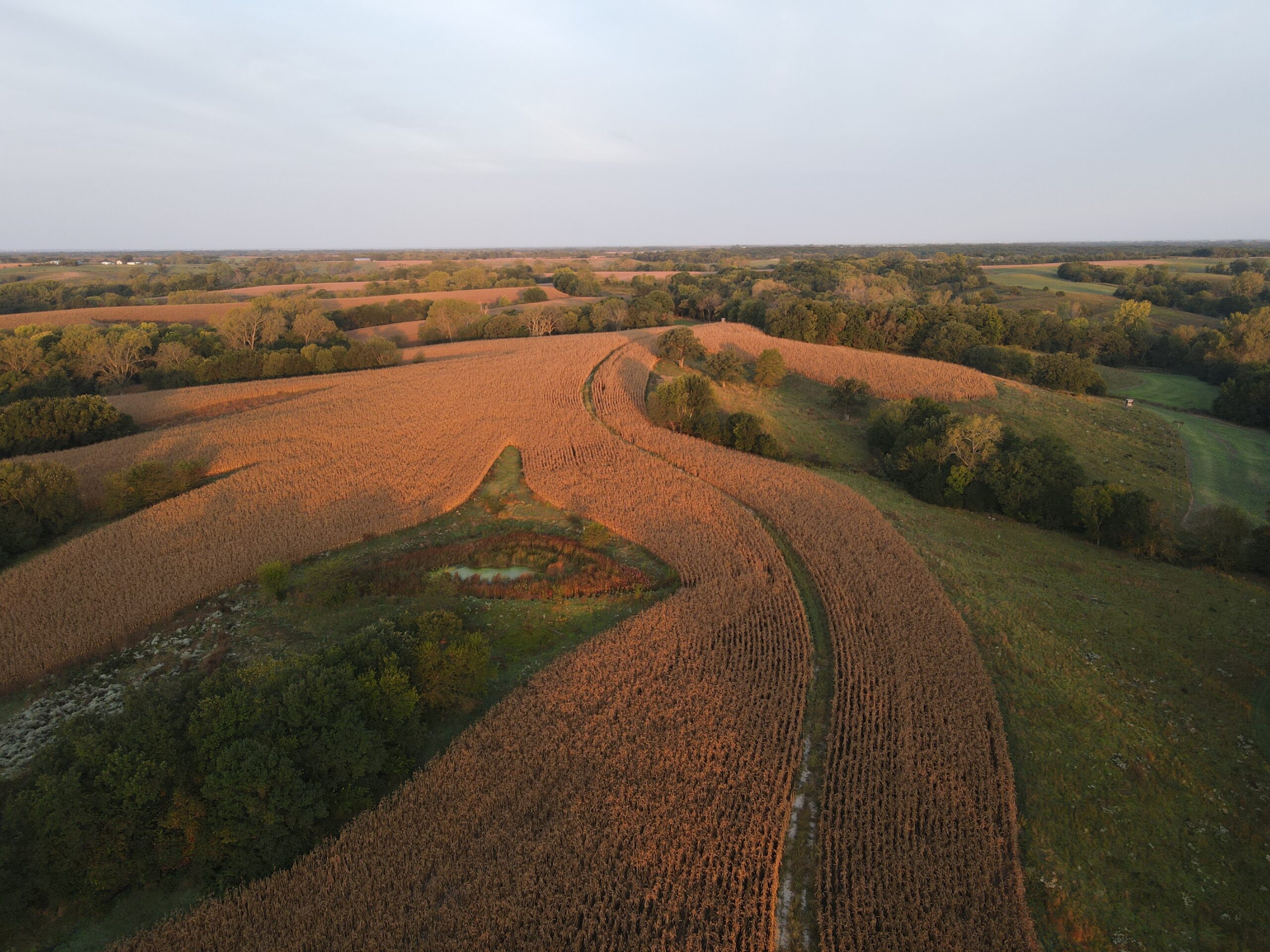 Dream Hunting Paradise in Decatur County, IA