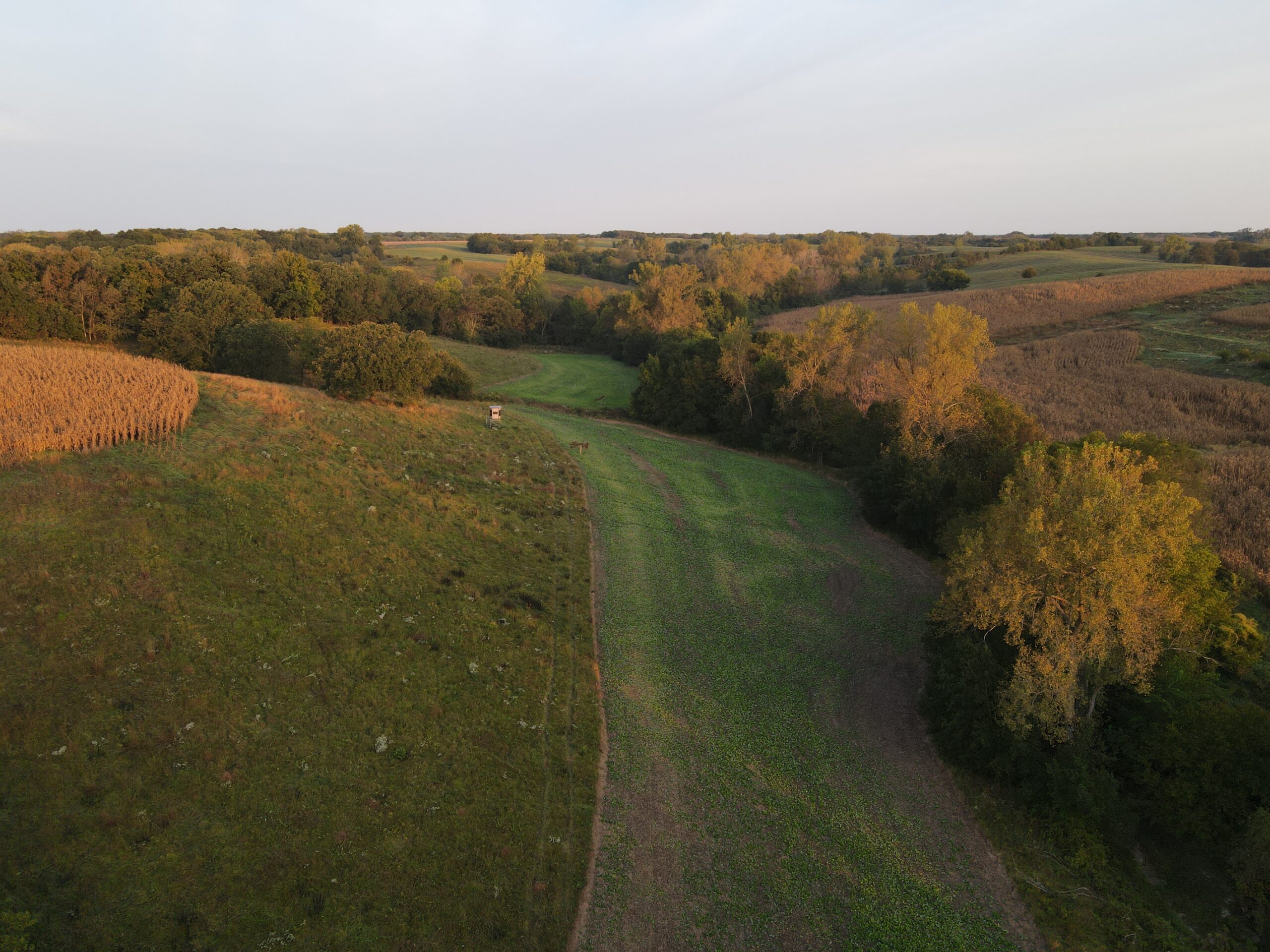 Dream Hunting Paradise in Decatur County, IA