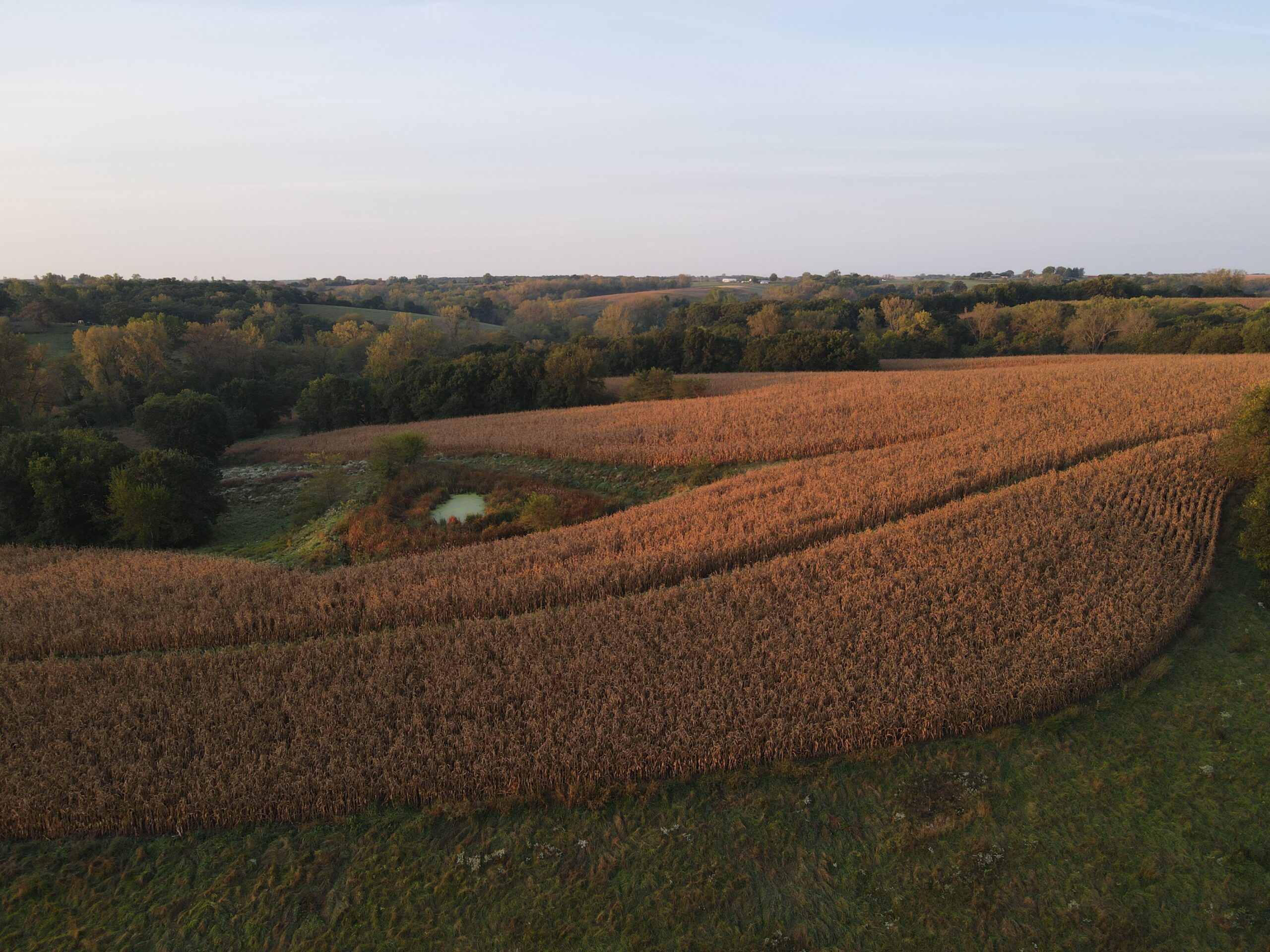 Dream Hunting Paradise in Decatur County, IA