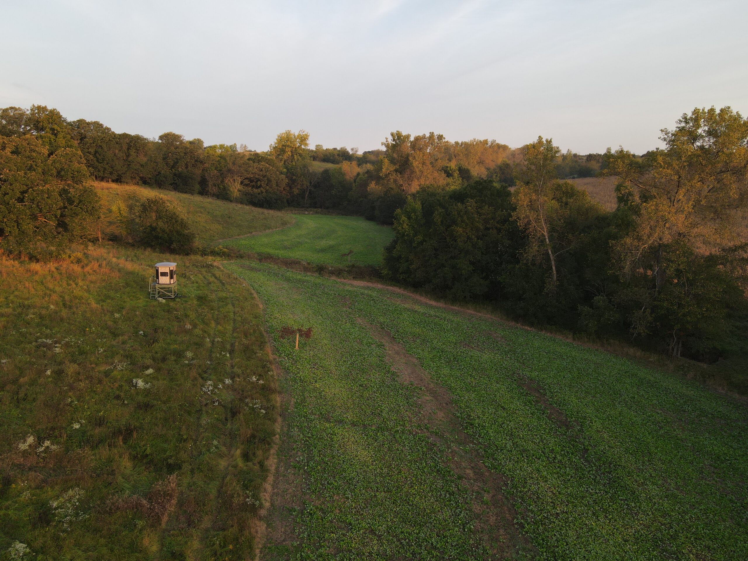 Dream Hunting Paradise in Decatur County, IA