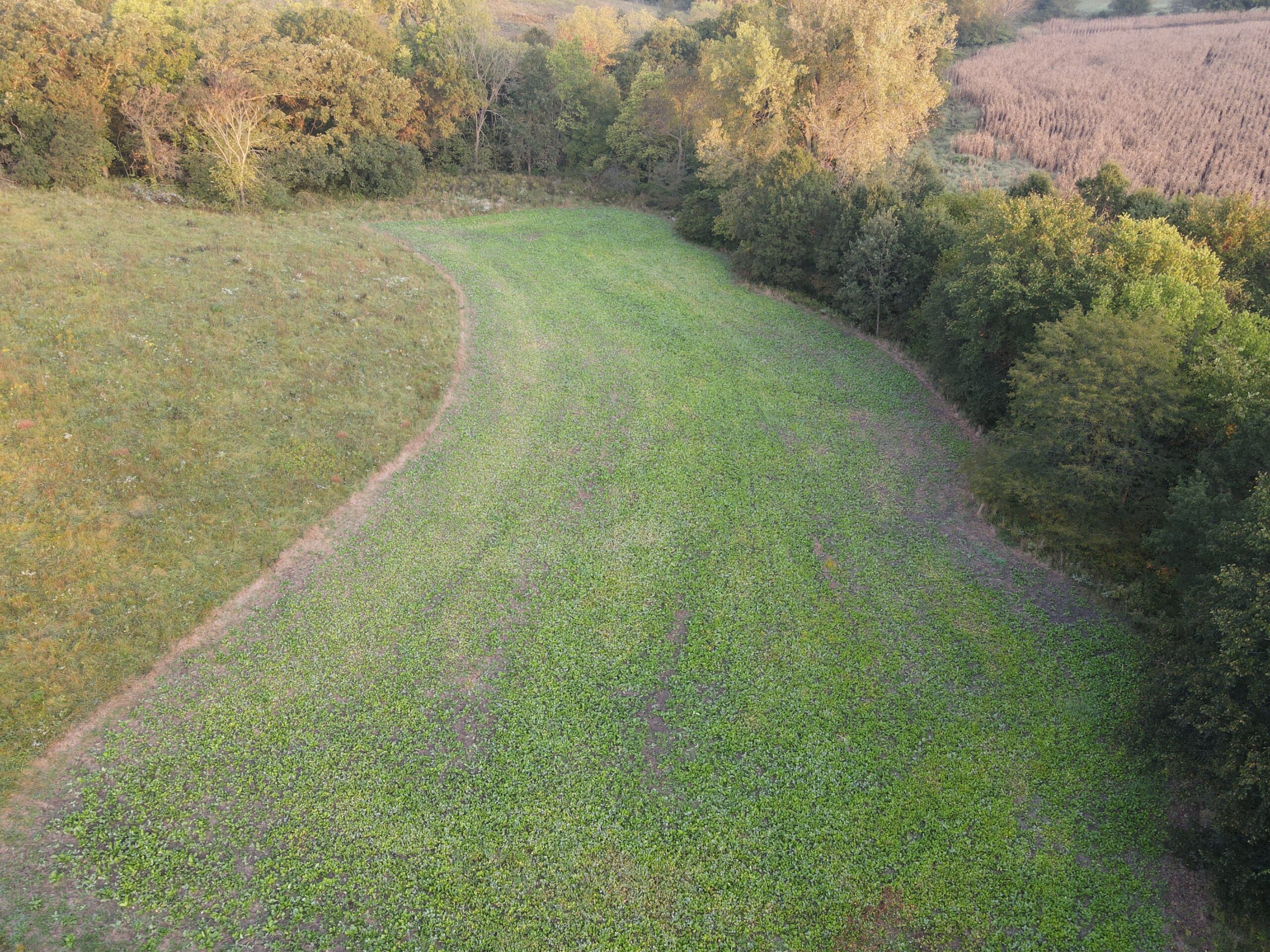 Dream Hunting Paradise in Decatur County, IA