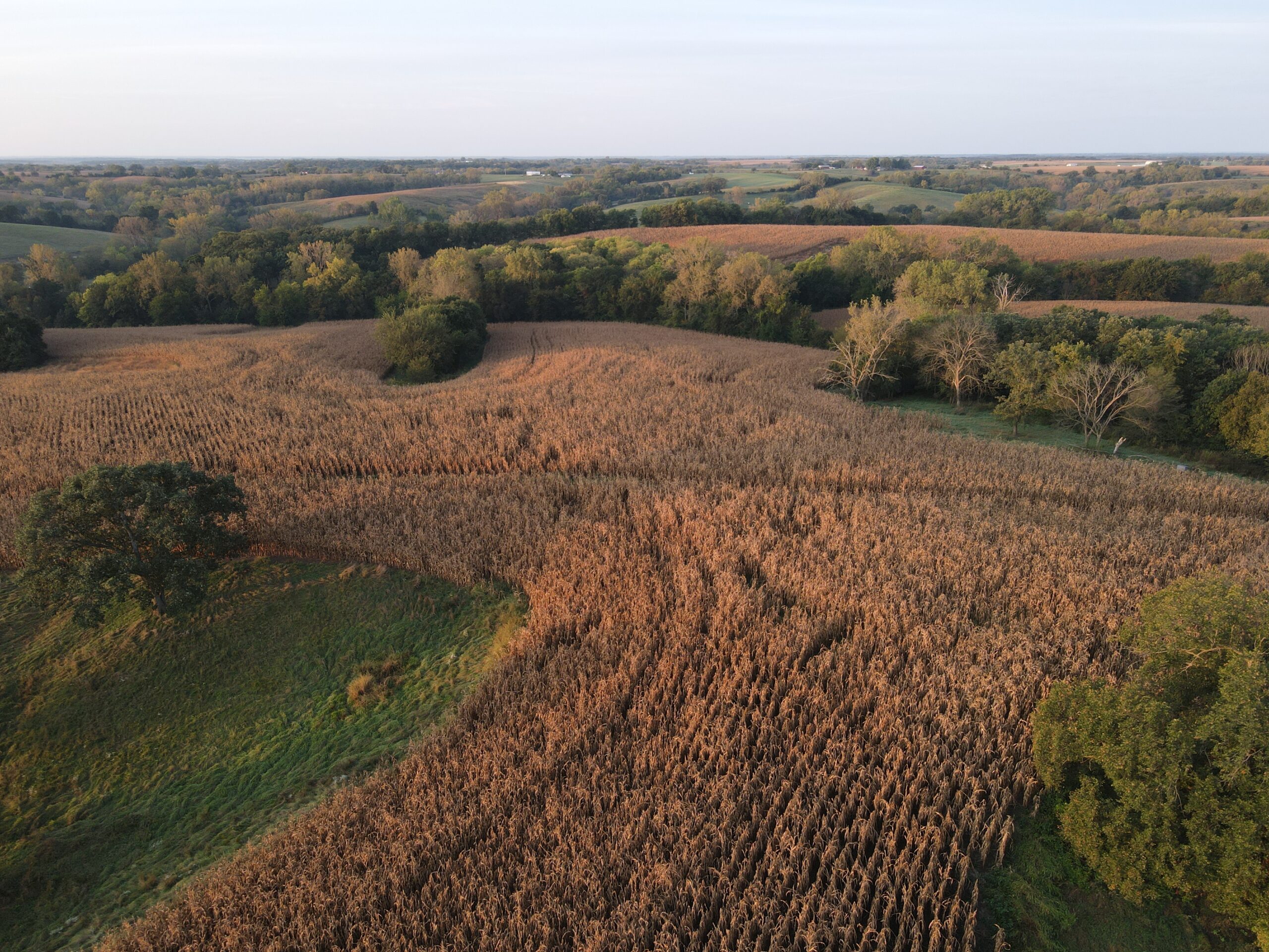 Dream Hunting Paradise in Decatur County, IA
