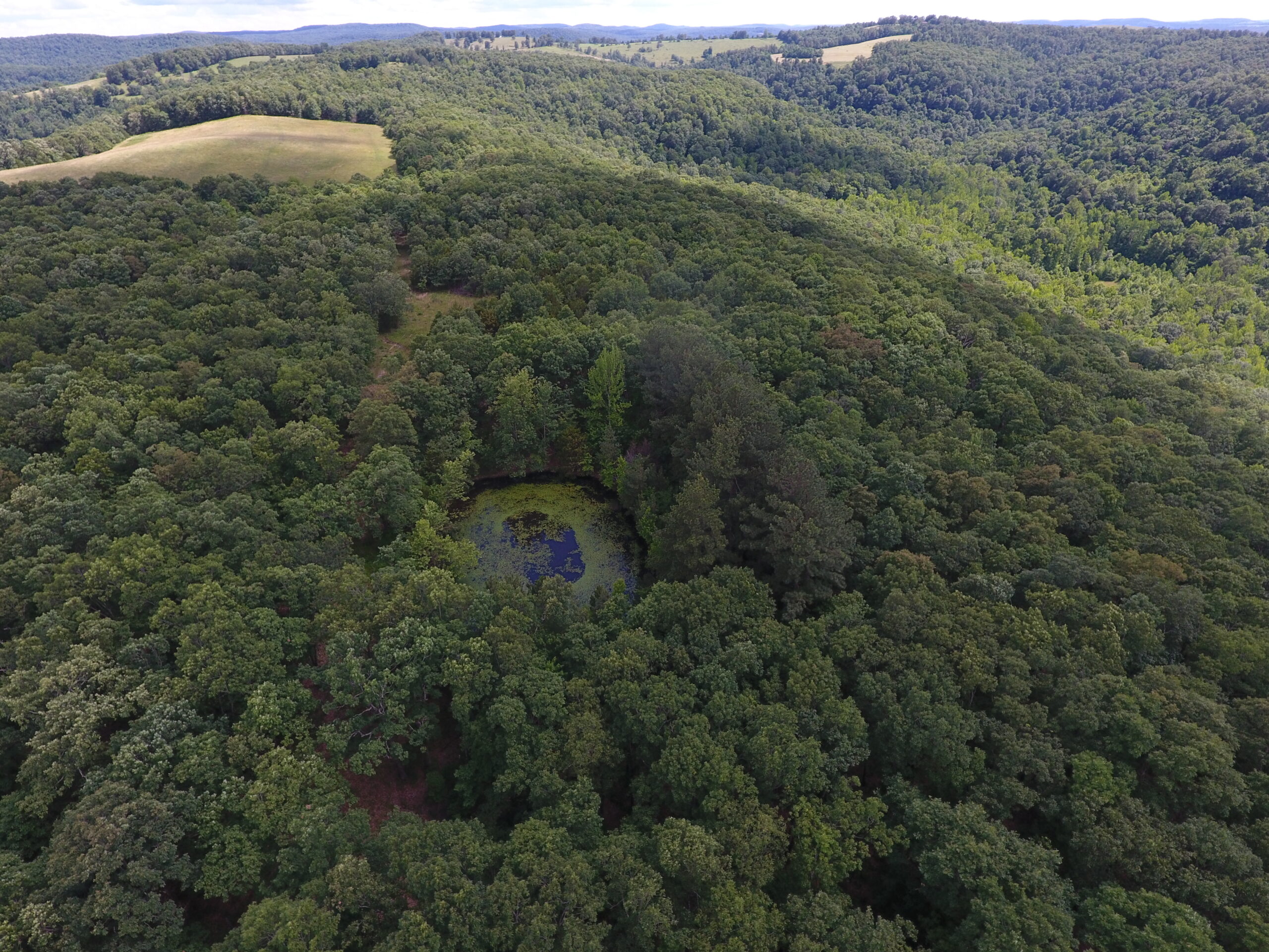 Prime Hunting & Recreational Property For Sale in Kingston AR