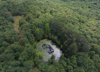 Prime Hunting & Recreational Property For Sale in Kingston AR