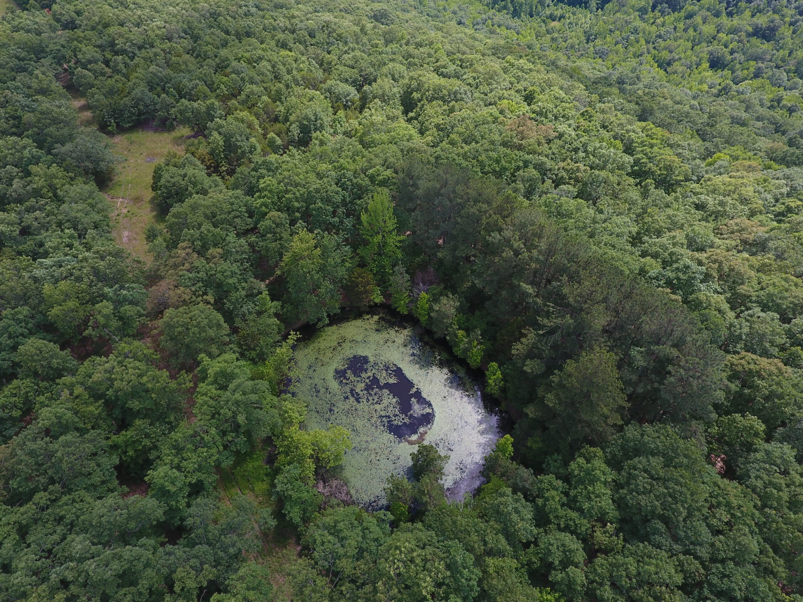 Prime Hunting & Recreational Property For Sale in Kingston AR