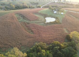 Dream Hunting Paradise in Decatur County, IA