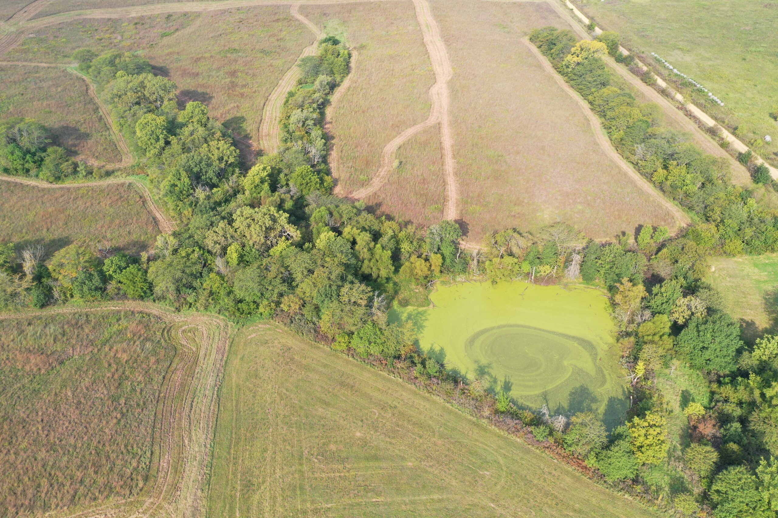 78 Acres of Farm, Hunting and Recreational Land