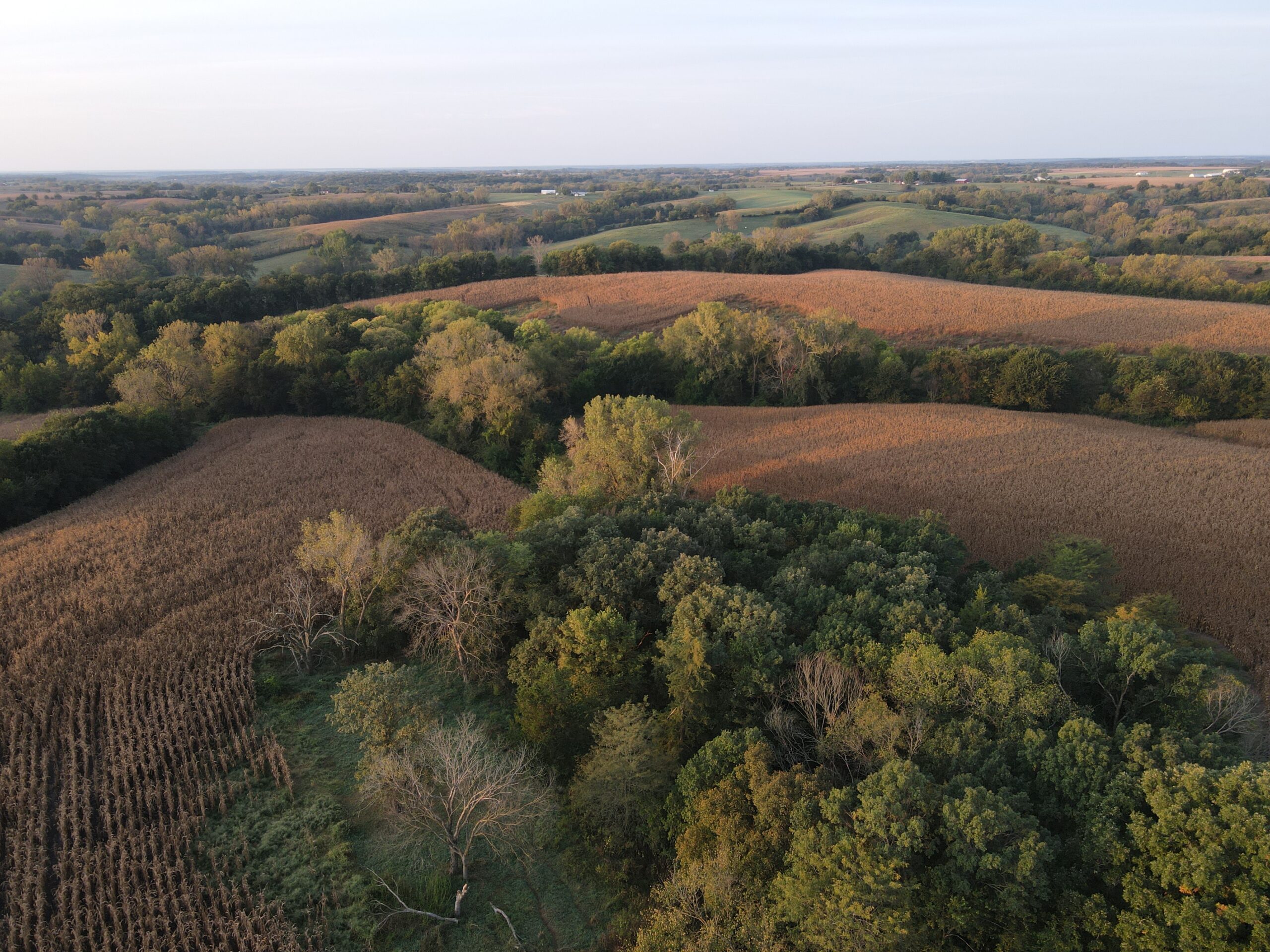 Dream Hunting Paradise in Decatur County, IA