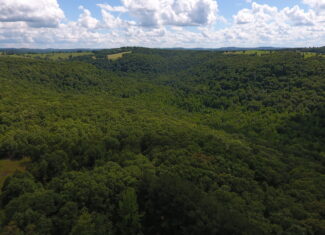 Prime Hunting & Recreational Property For Sale in Kingston AR