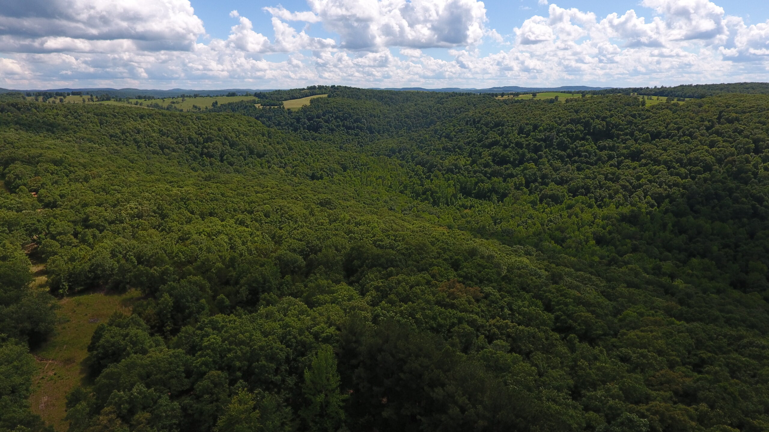 Prime Hunting & Recreational Property For Sale in Kingston AR