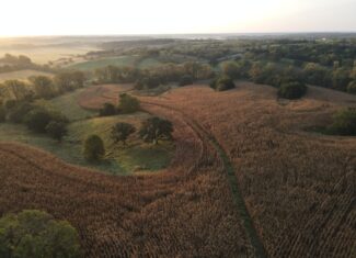 Dream Hunting Paradise in Decatur County, IA