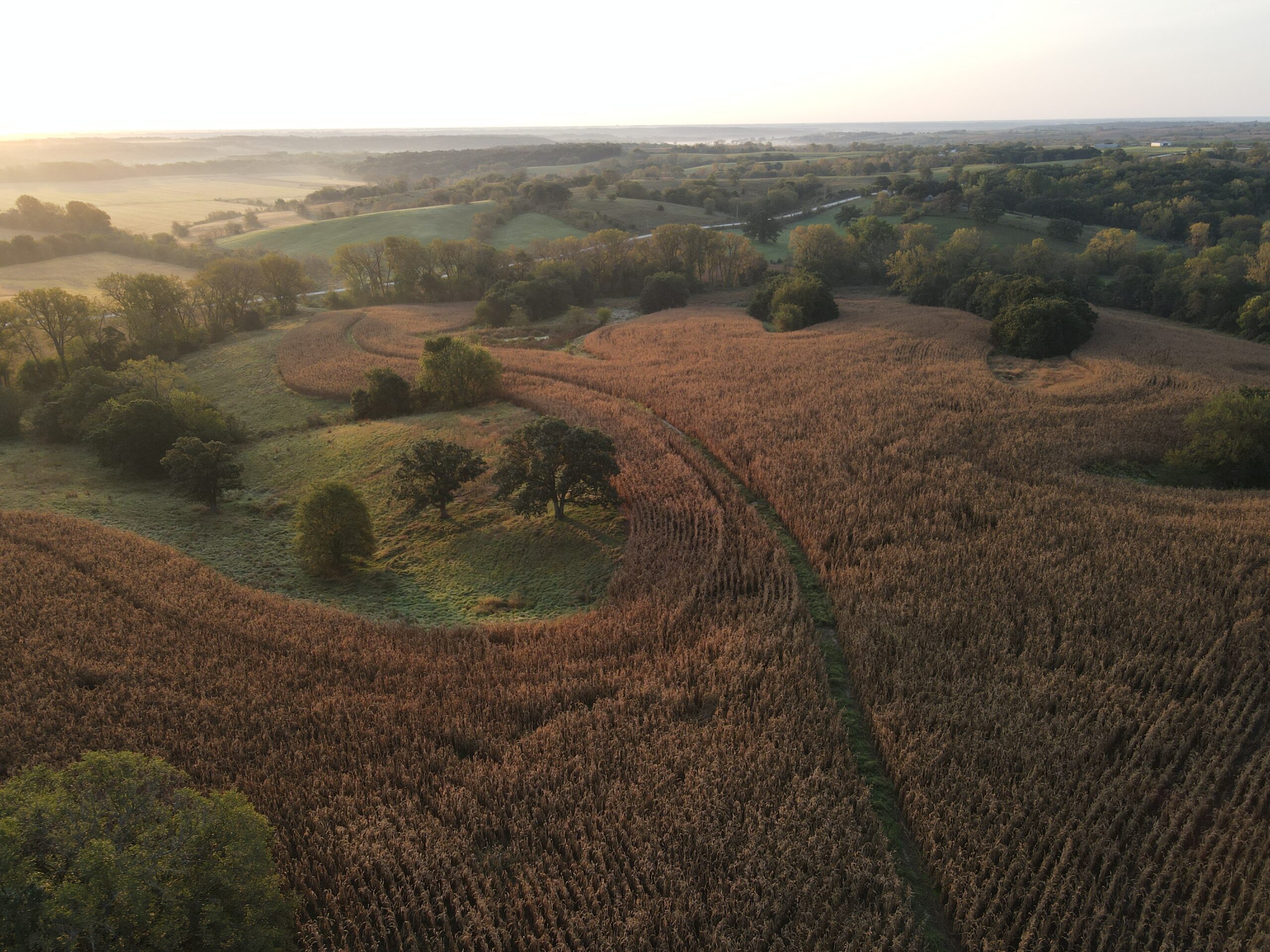Dream Hunting Paradise in Decatur County, IA
