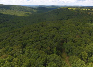 Prime Hunting & Recreational Property For Sale in Kingston AR