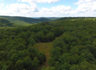 Prime Hunting & Recreational Property For Sale in Kingston AR