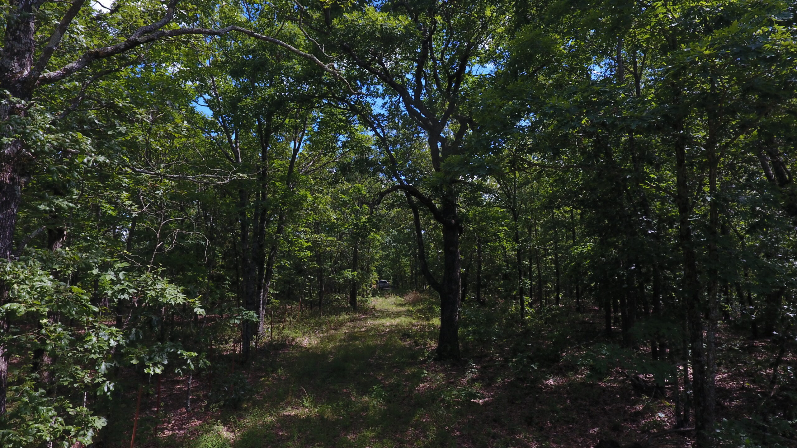Prime Hunting & Recreational Property For Sale in Kingston AR